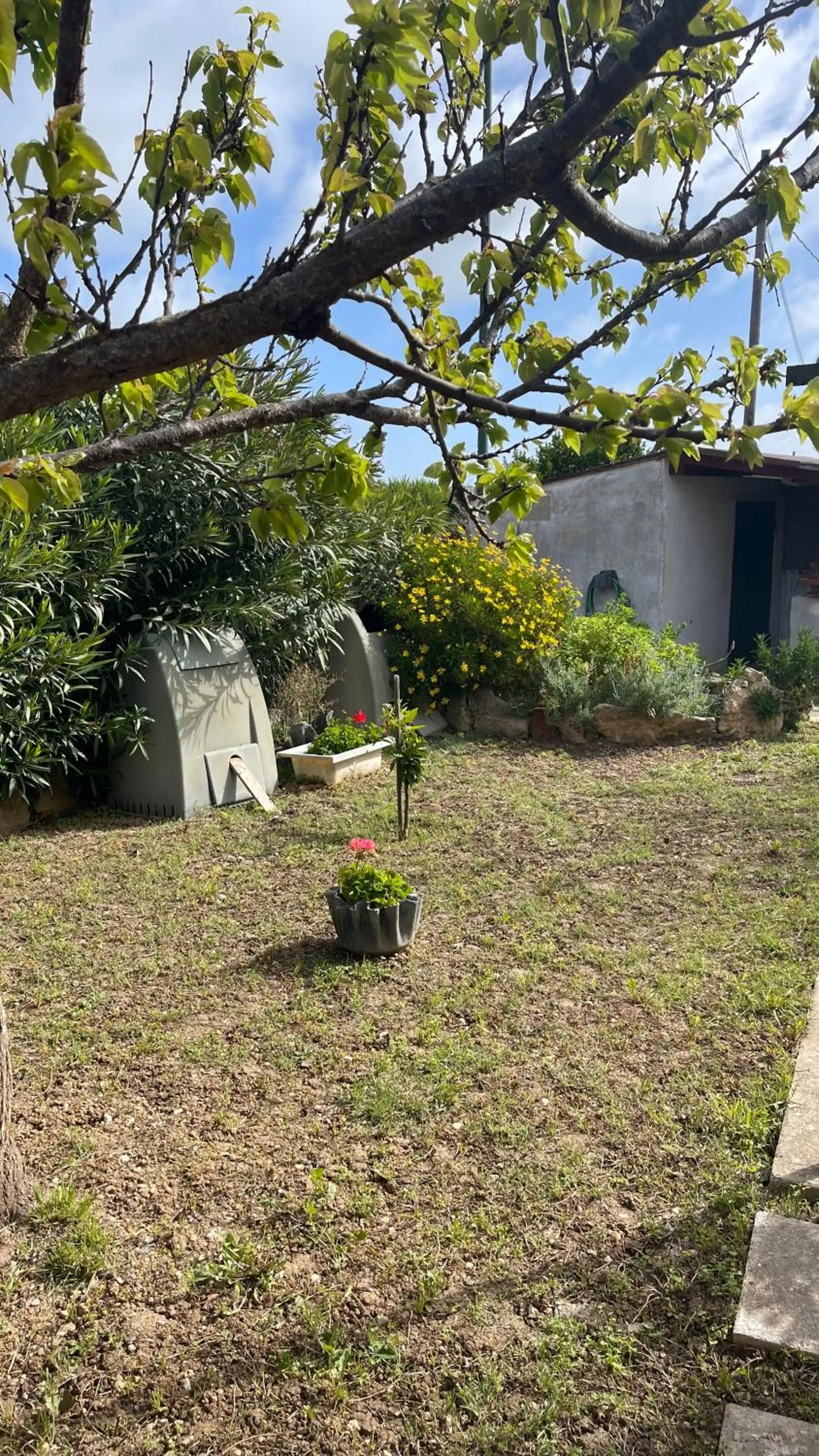Garden in La Mansarda