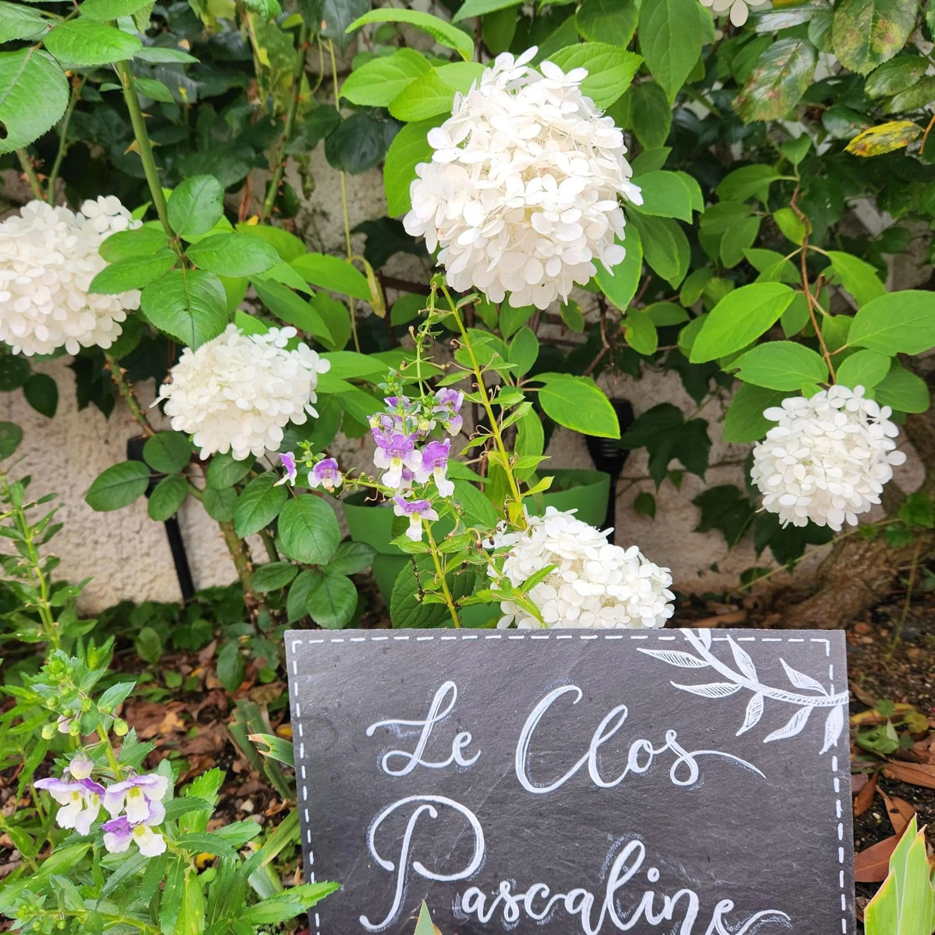 Garden in Le clos Pascaline