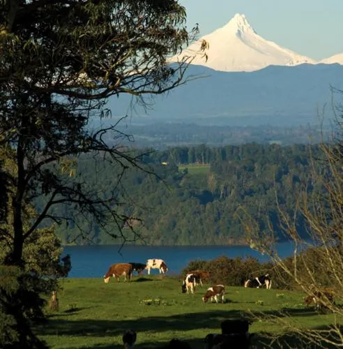 Natural landscape in Hotel Patagonico