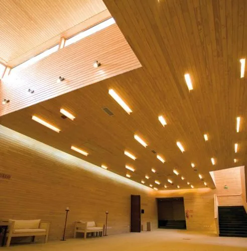 Banquet/Function facilities in Hotel Patagonico