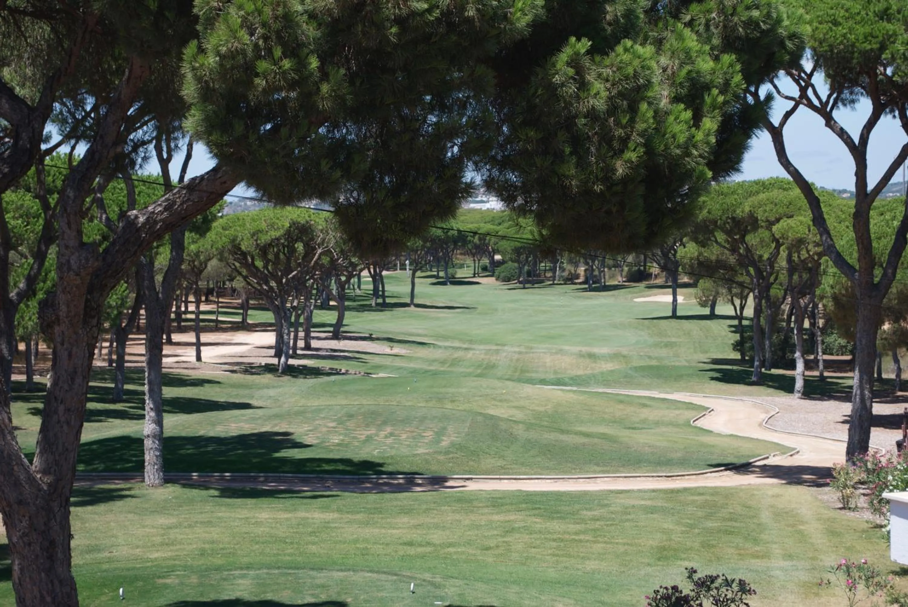 Natural landscape in Golf Residence Apartment
