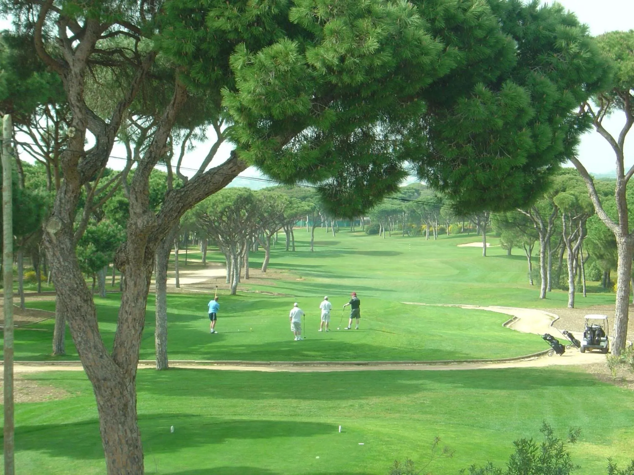 Natural landscape in Golf Residence Apartment