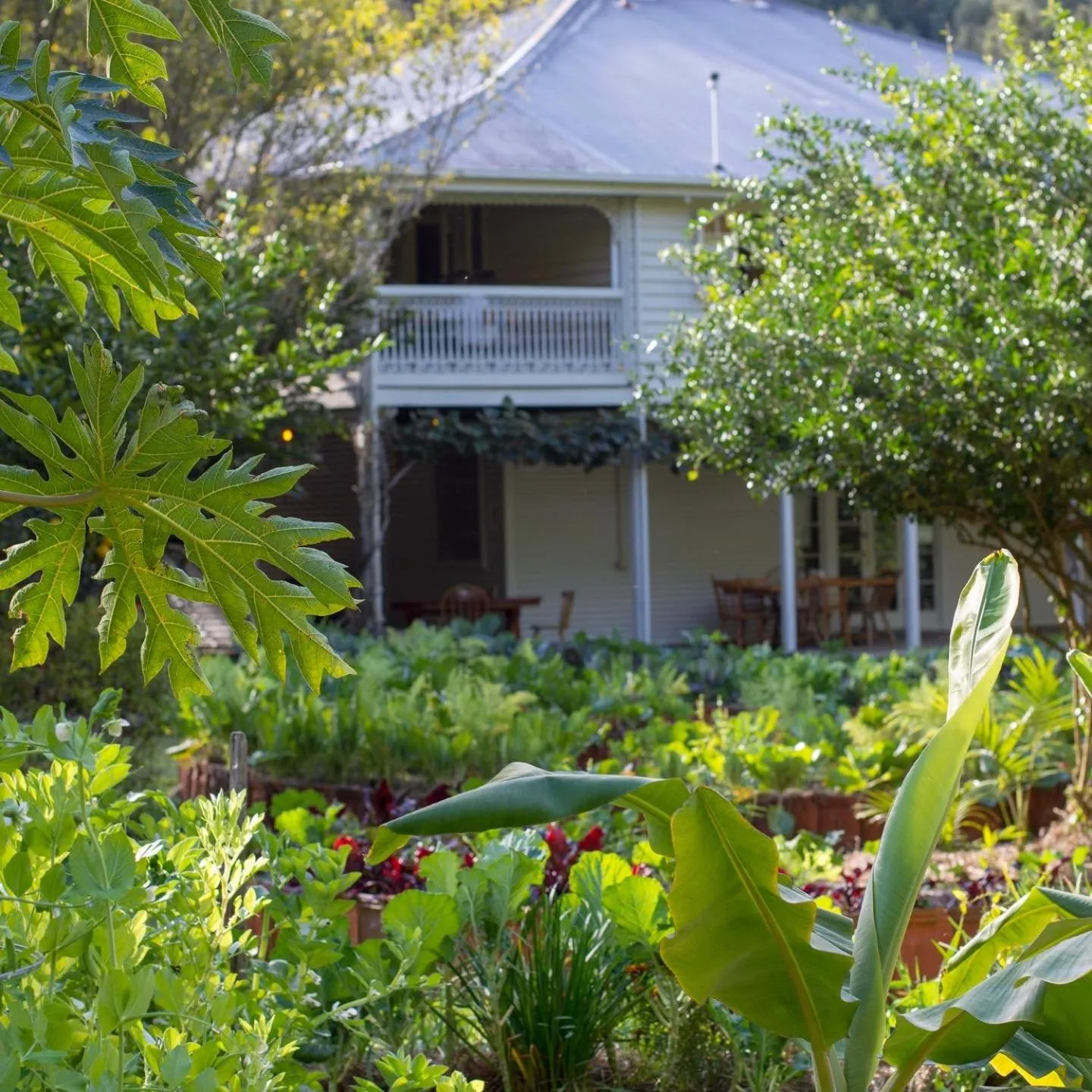 Property building in Mavis's Cabins @ Mt Warning