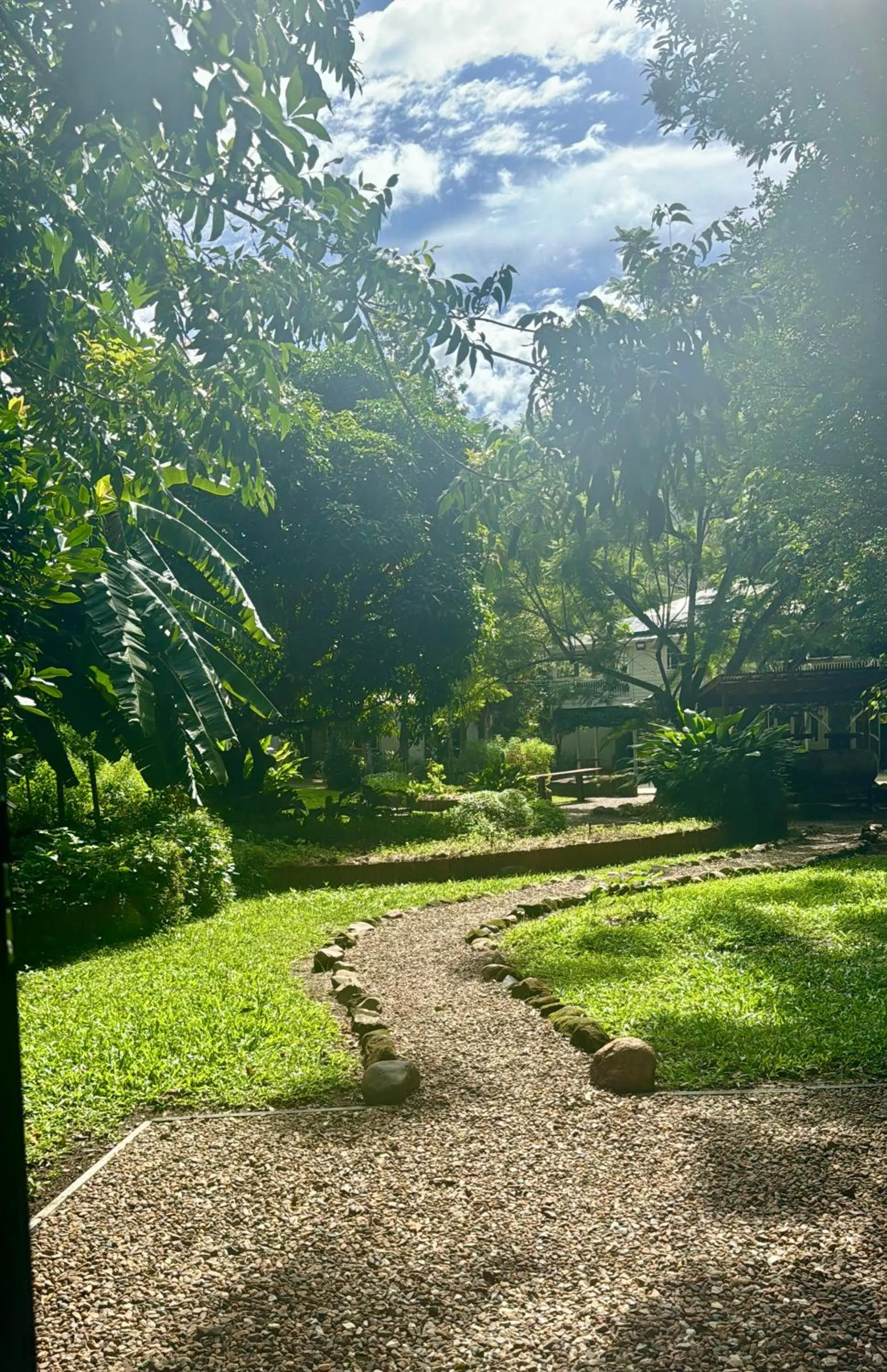 Garden in Mavis's Cabins @ Mt Warning