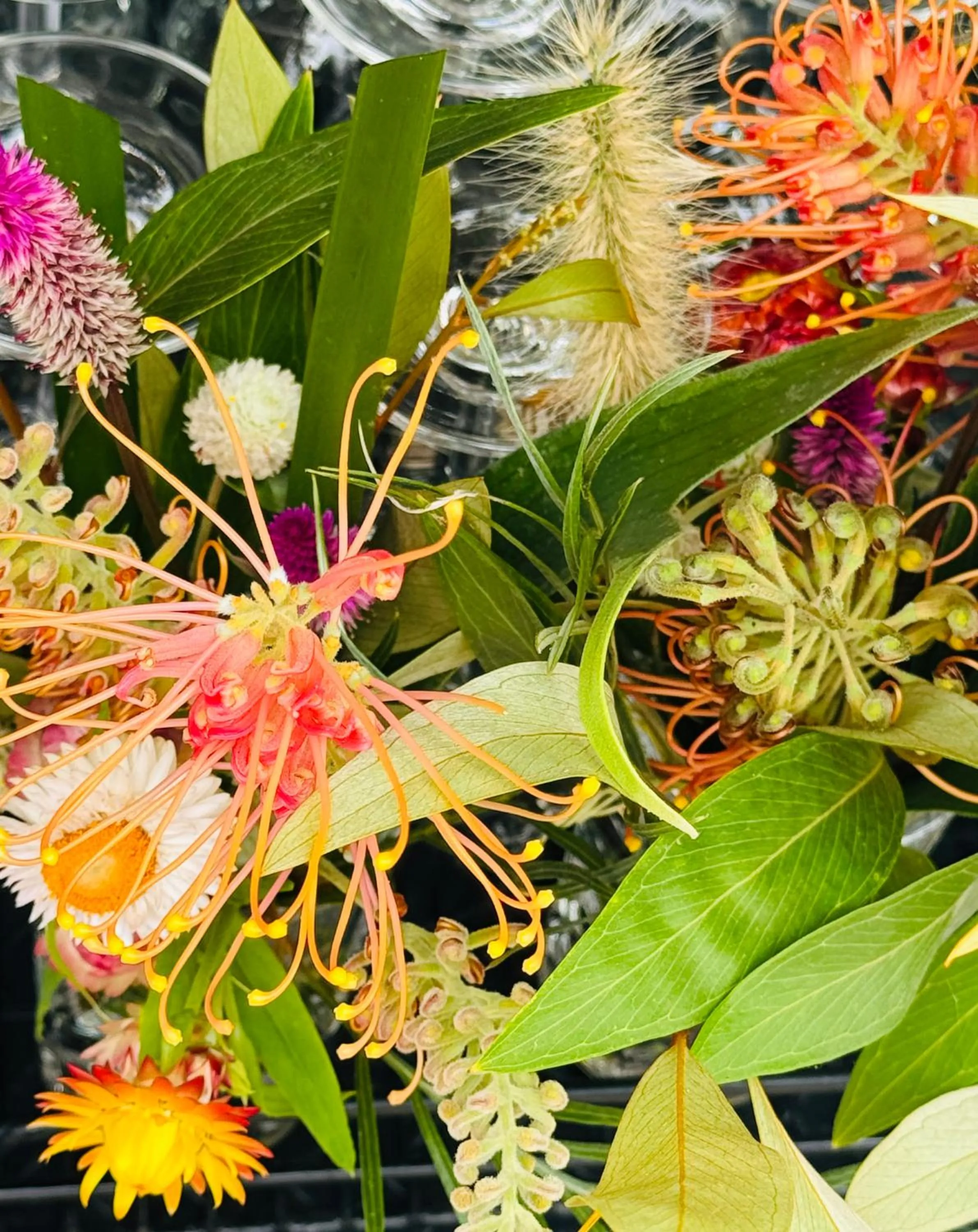 Garden in Mavis's Cabins @ Mt Warning