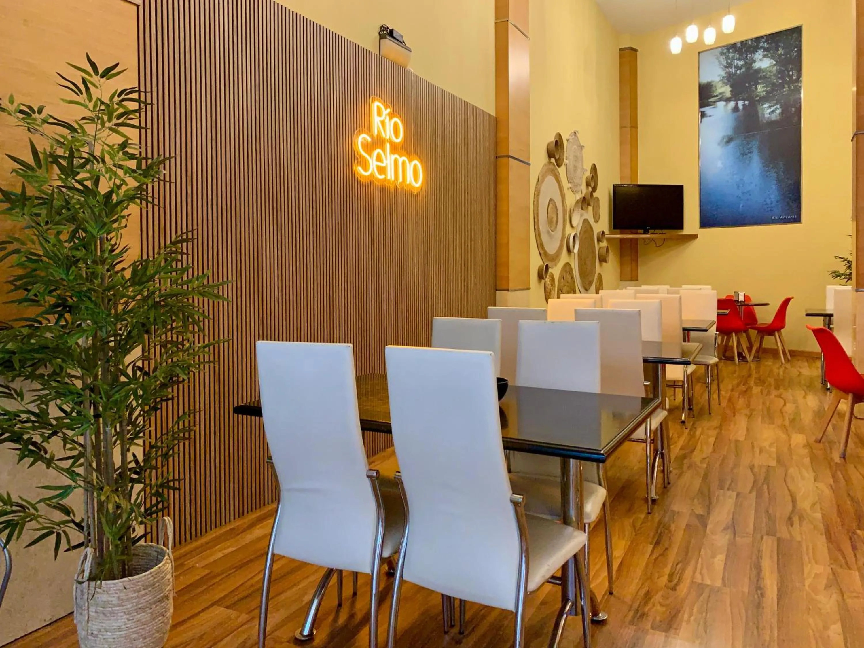 TV and multimedia in Hostal RIO SELMO