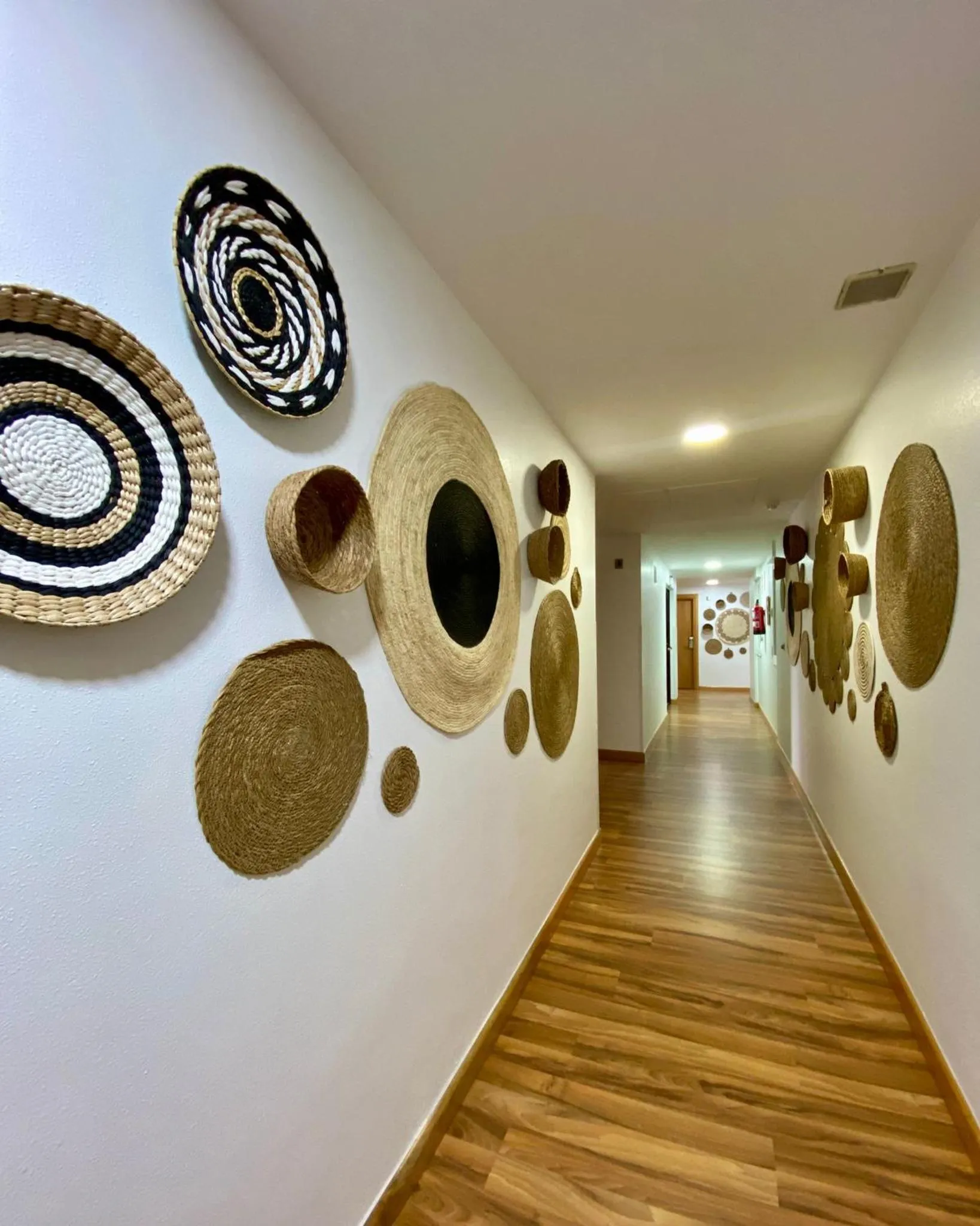 Area and facilities in Hostal RIO SELMO