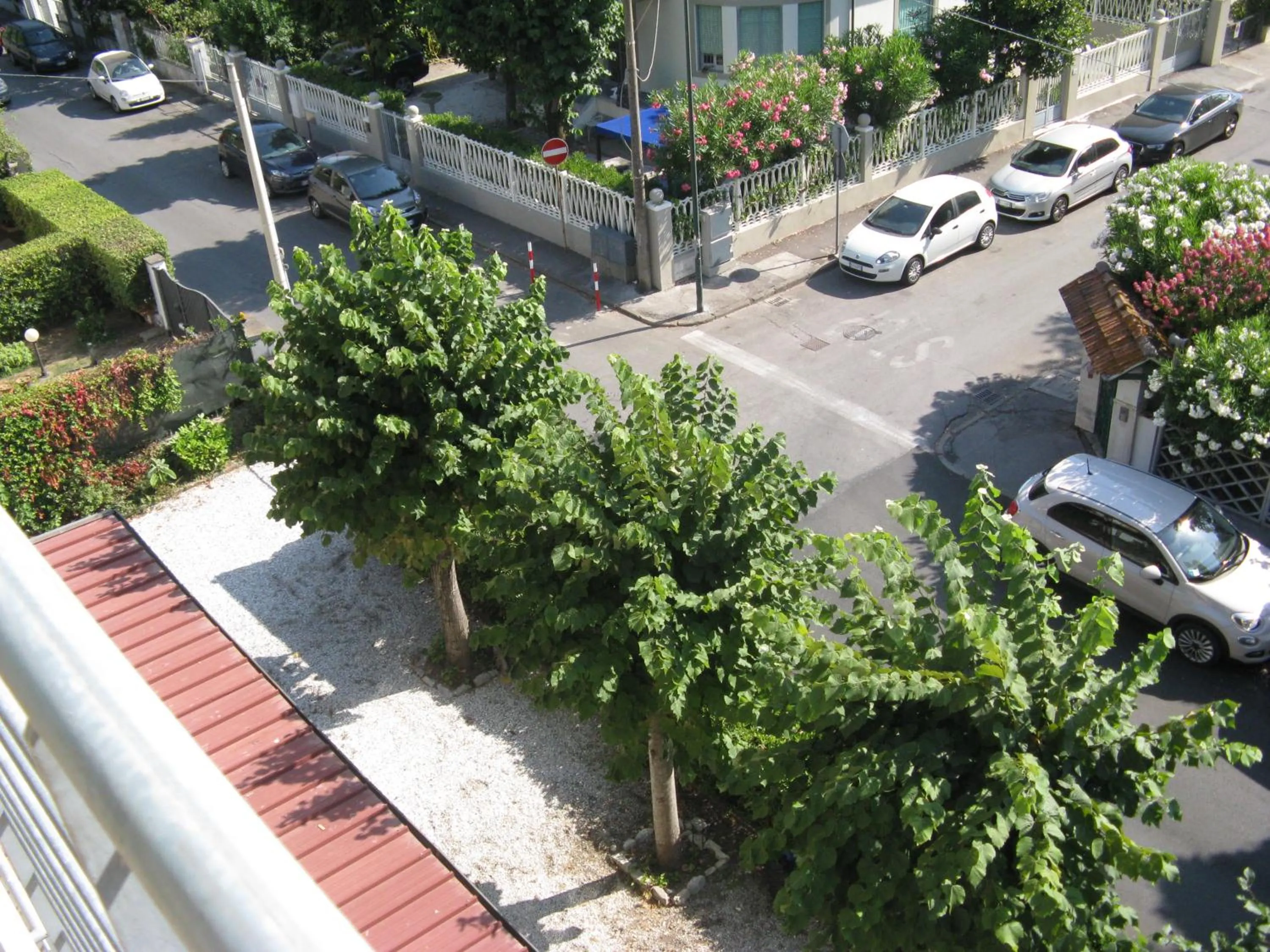 Garden view in Hotel Luca