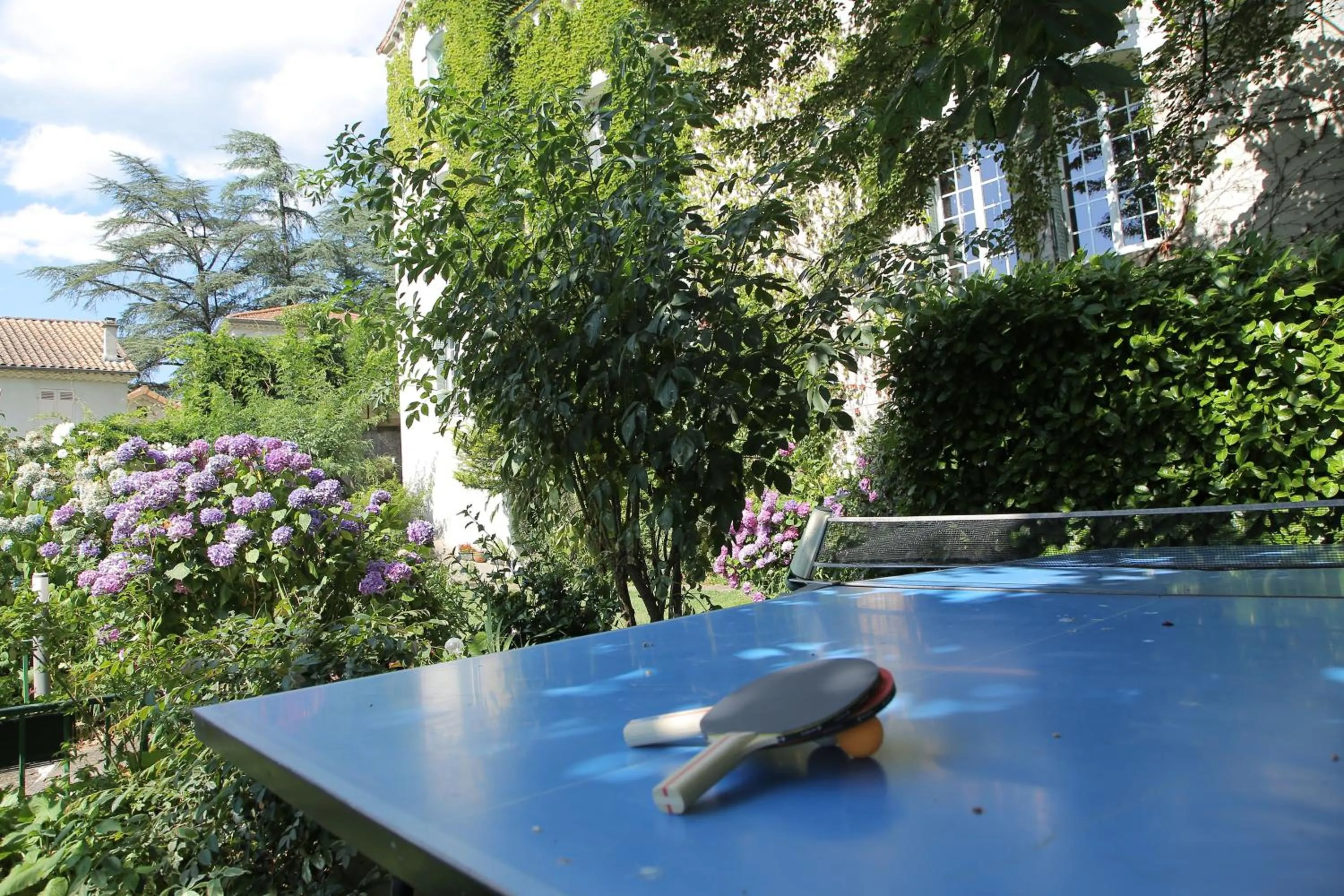 Activities in Villa Aimée Luxury Apartments with Heated Pool