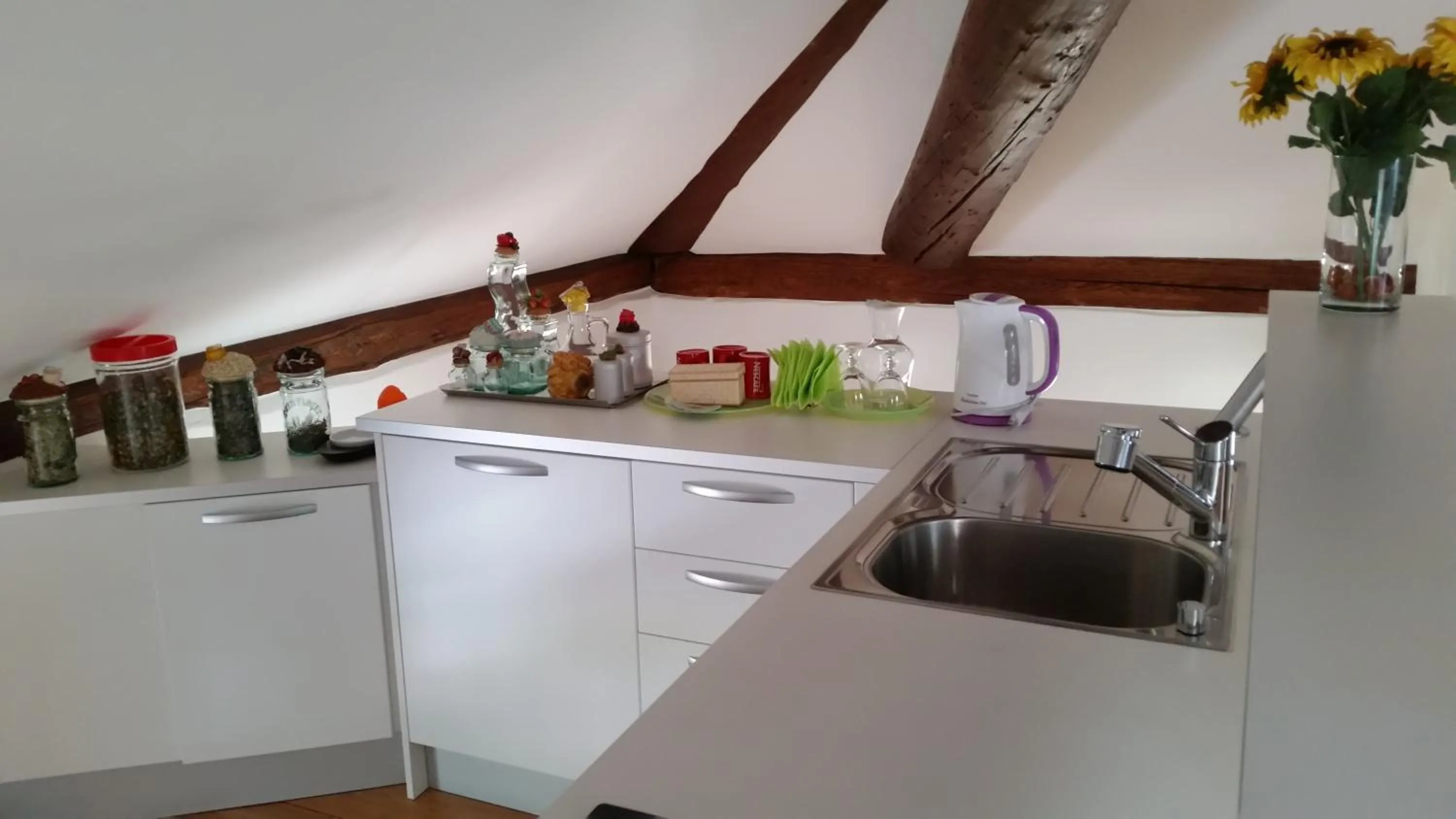 Kitchen or kitchenette in Hotel Soazza