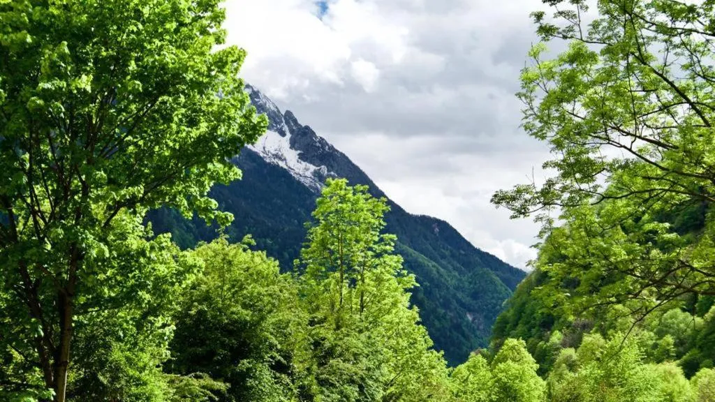 Mountain view in Hotel Soazza