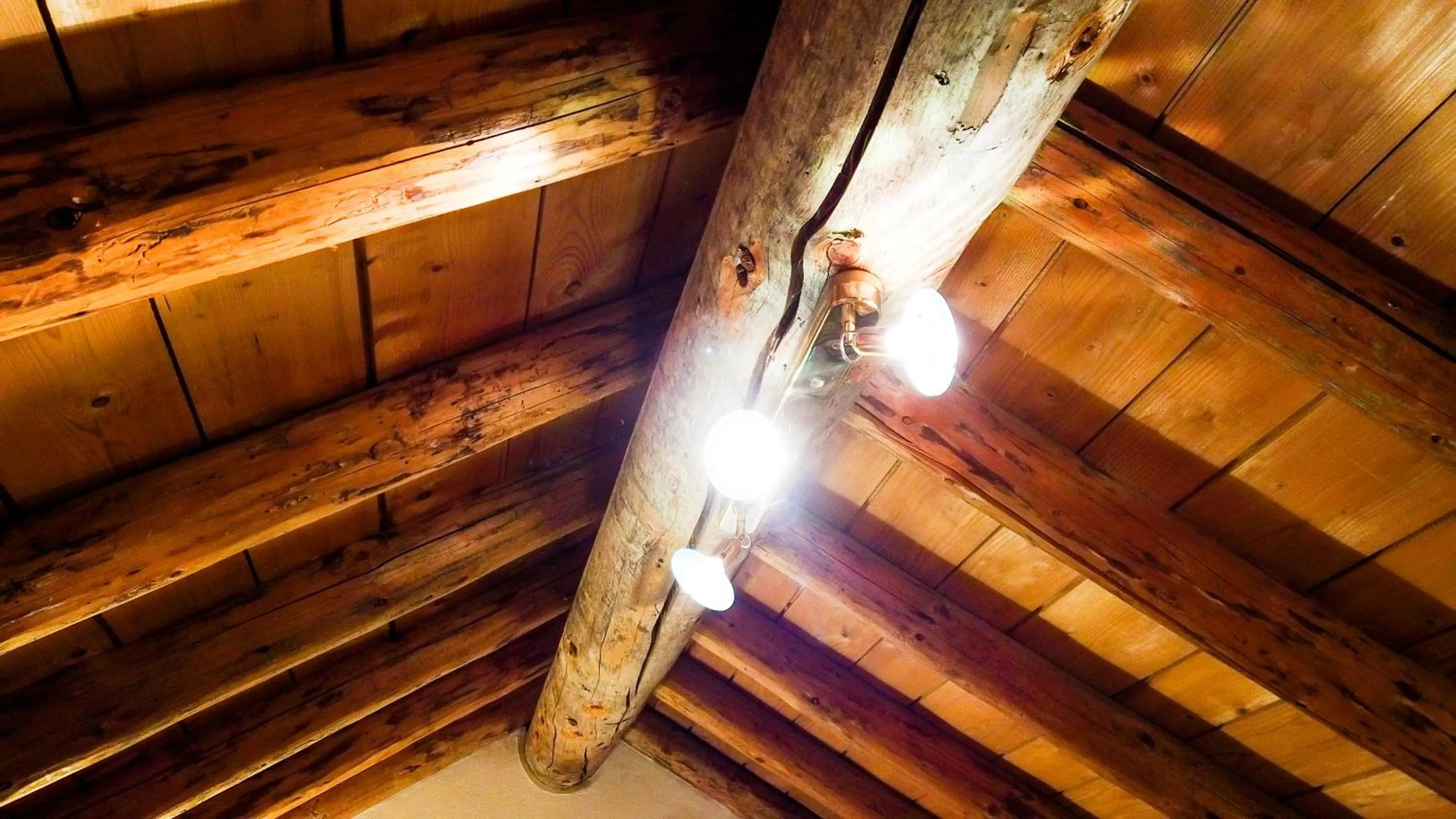 Photo of the whole room in Hotel Soazza