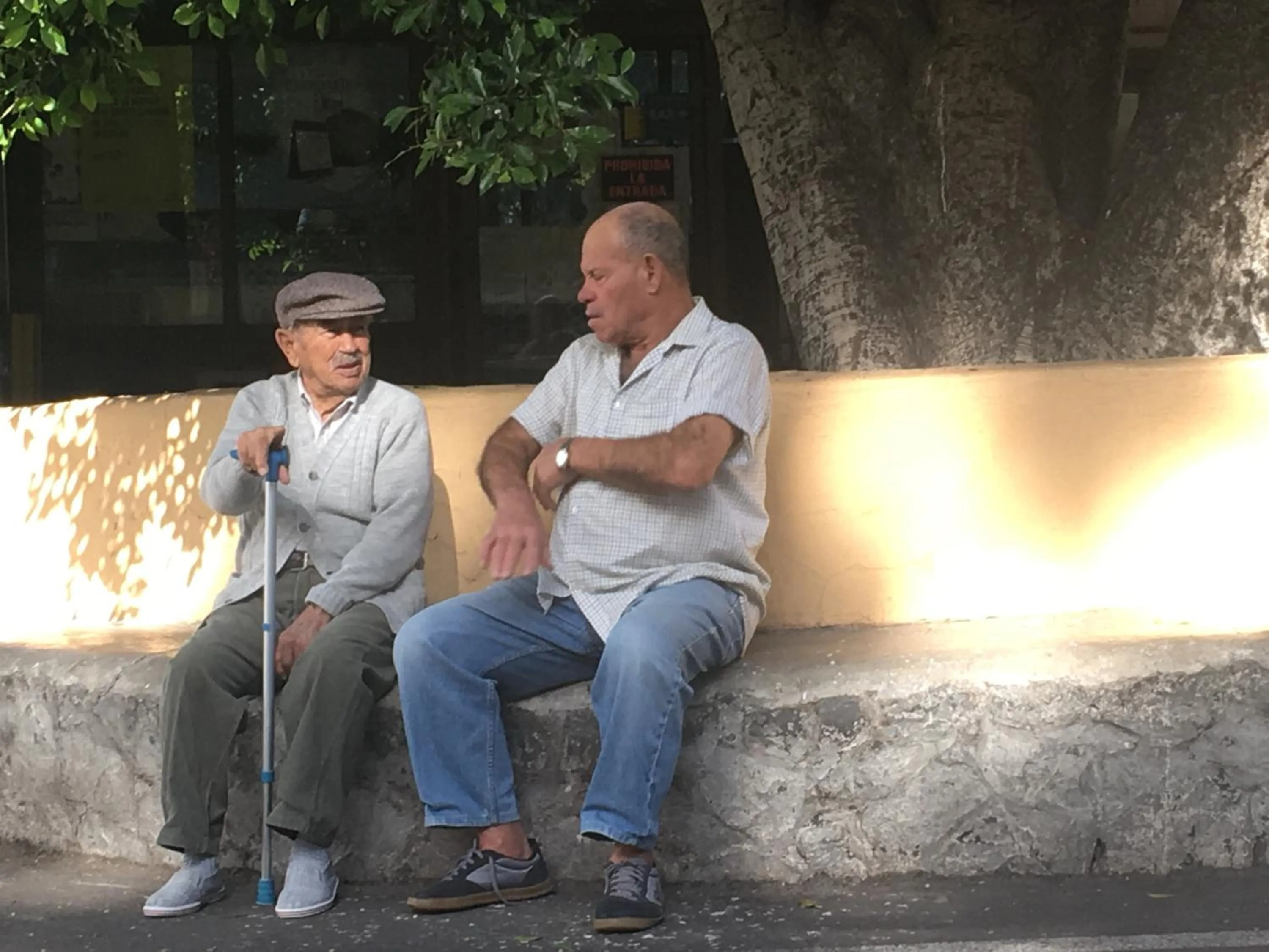 Off site in La Casita de Las Palmas VV