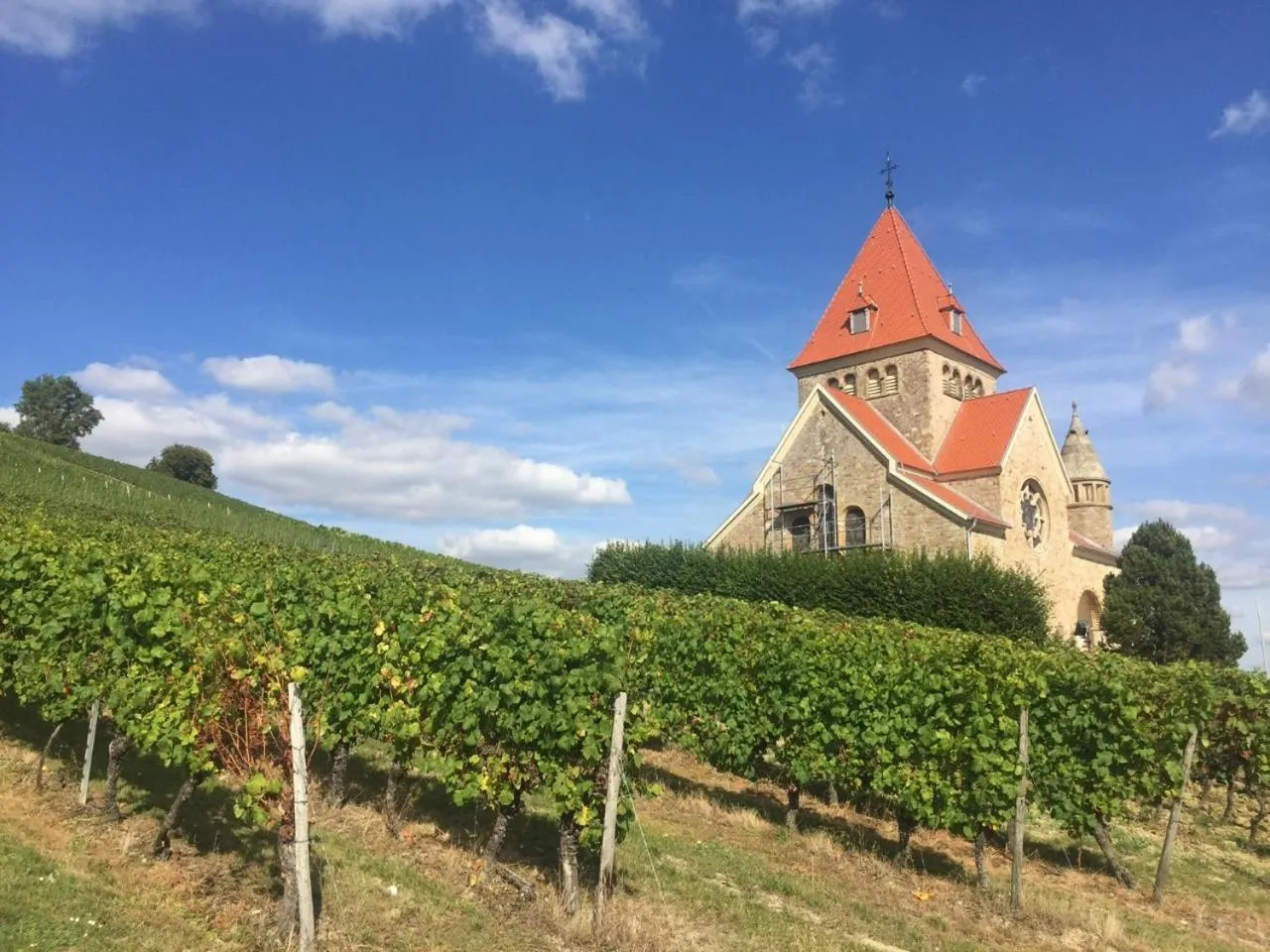 Staff in Hofgut Wißberg - Das Weinberghotel