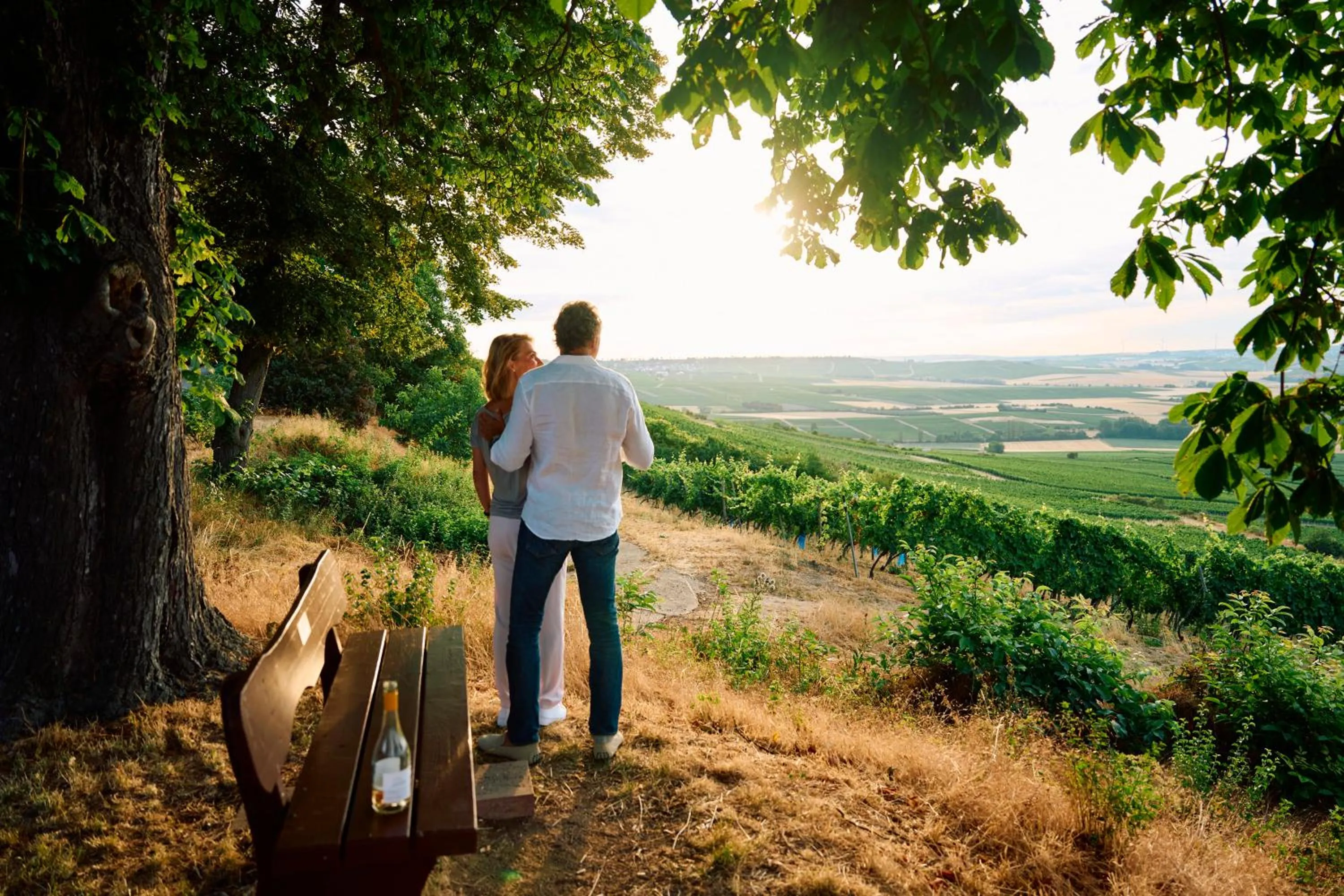 View (from property/room) in Hofgut Wißberg - Das Weinberghotel
