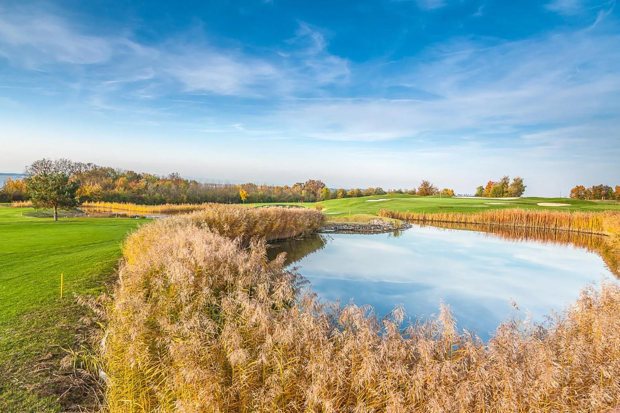 Golfcourse in Hofgut Wißberg - Das Weinberghotel