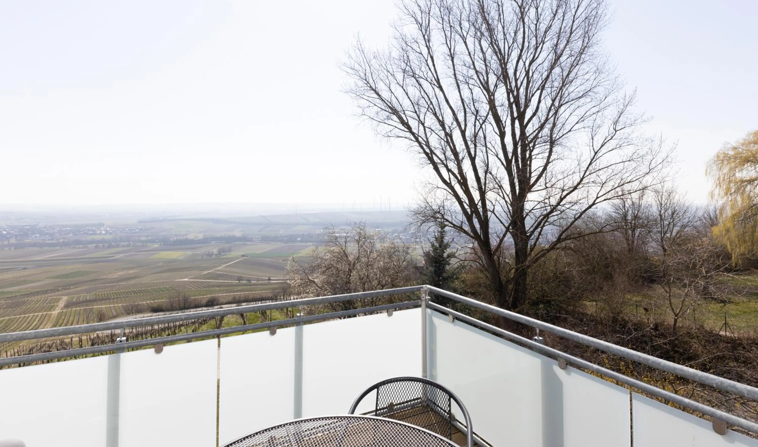 View (from property/room) in Hofgut Wißberg - Das Weinberghotel