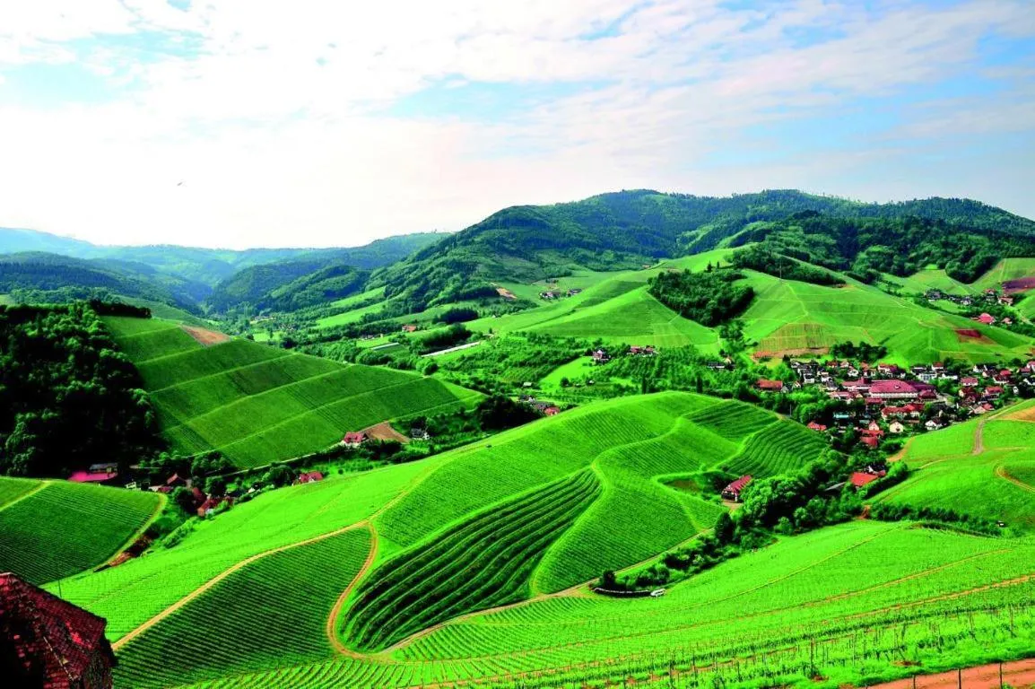 Area and facilities in Hotel Linde Durbach