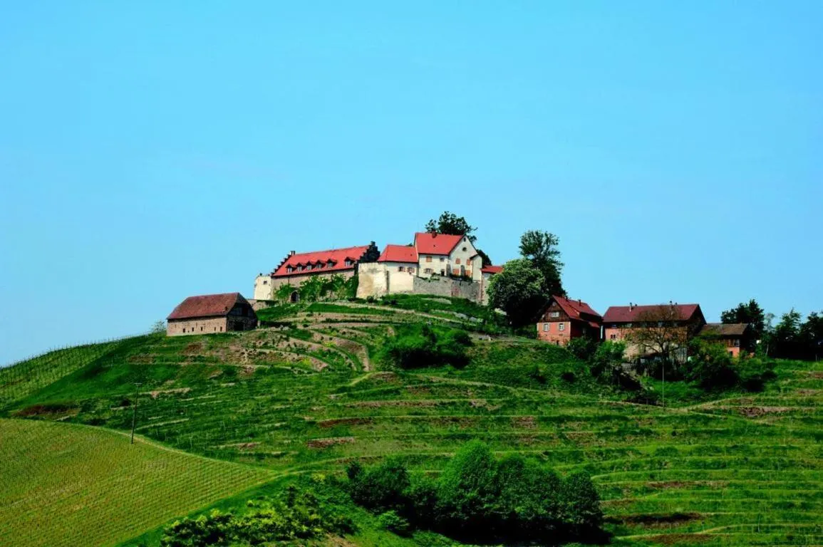 Area and facilities in Hotel Linde Durbach