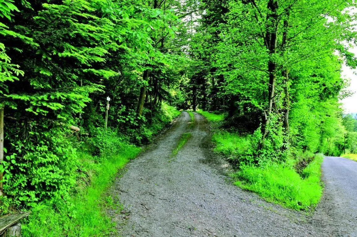 Area and facilities in Hotel Linde Durbach