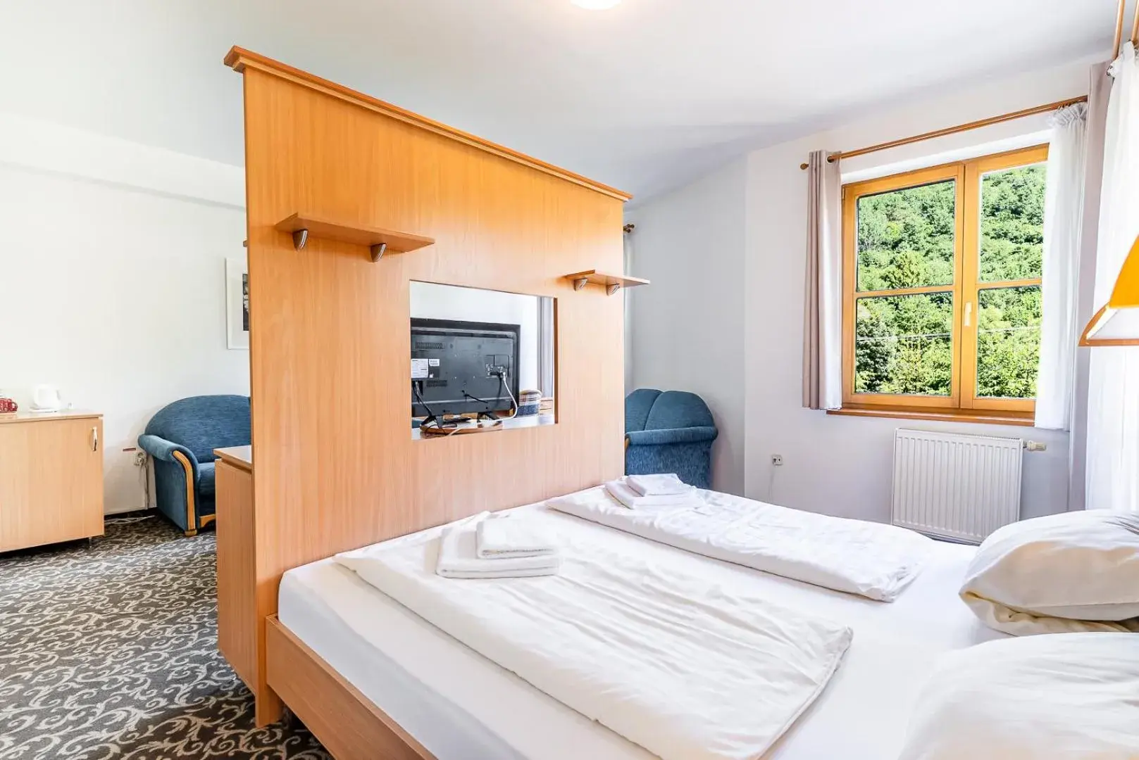 Deluxe Double Room - single occupancy in Garni Hotel Gavurky Deluxe Double Room - single occupancy in Garni Hotel Gavurky