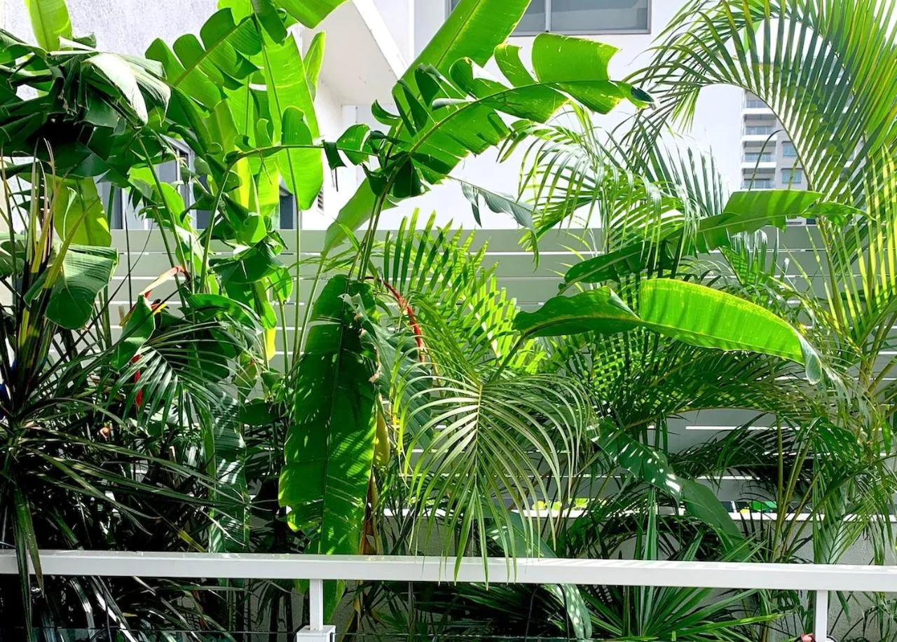 Darwin City Chic@Kube Apartments