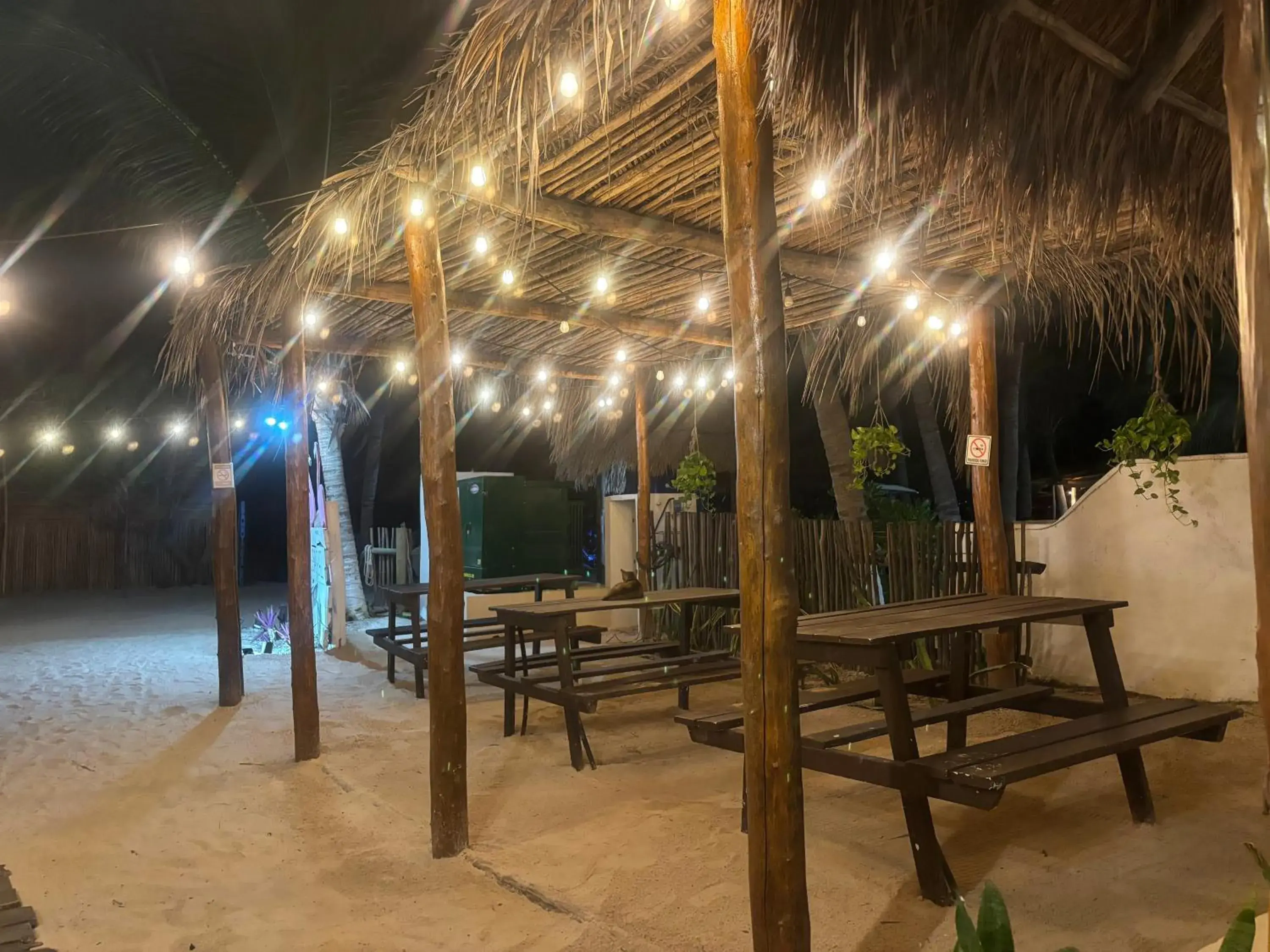Restaurant/places to eat in La Diosa Kali Beach Front Hotel Restaurant/places to eat in La Diosa Kali Beach Front Hotel