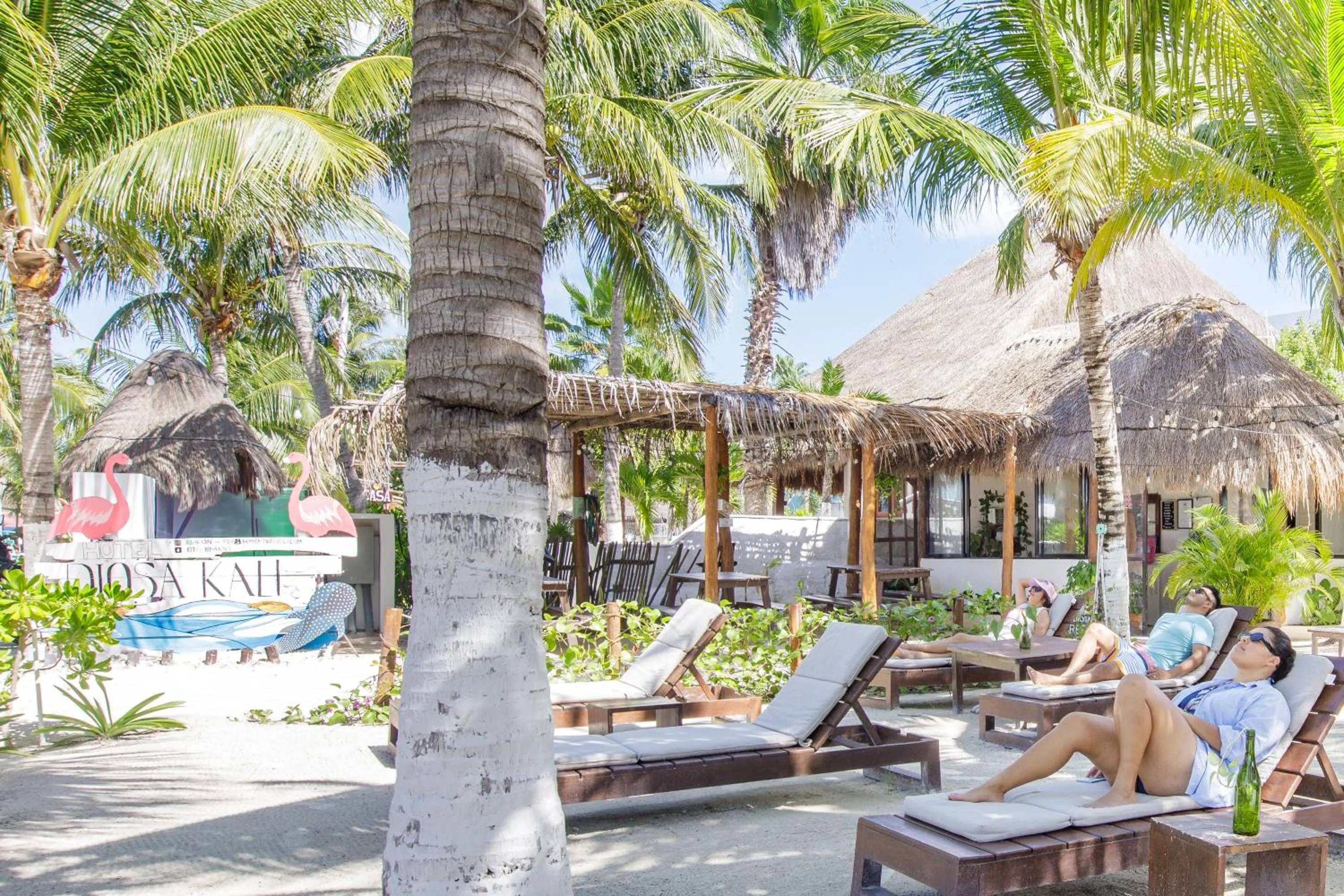 Patio in La Diosa Kali Beach Front Hotel