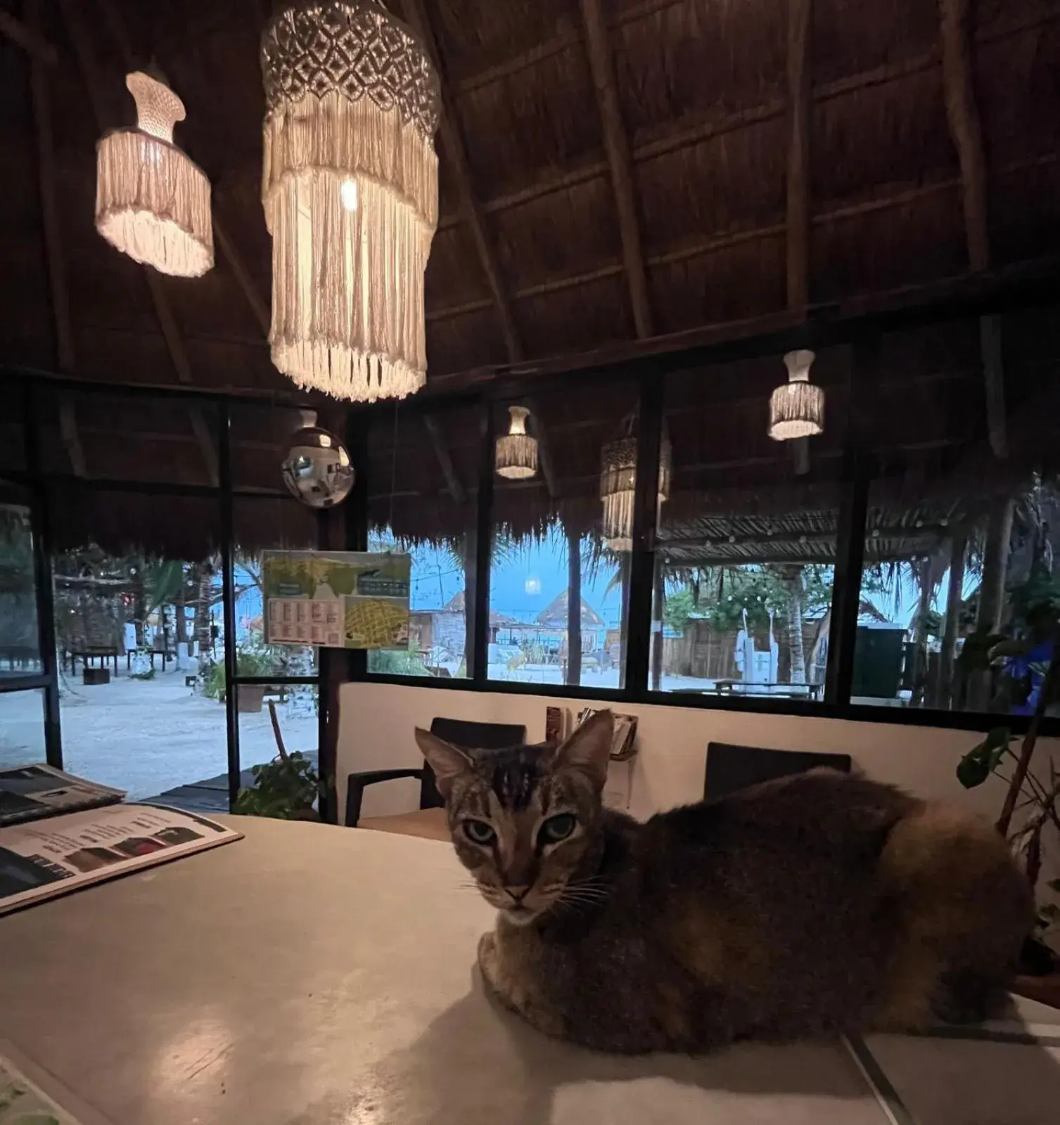 Lobby or reception in La Diosa Kali Beach Front Hotel Lobby or reception in La Diosa Kali Beach Front Hotel