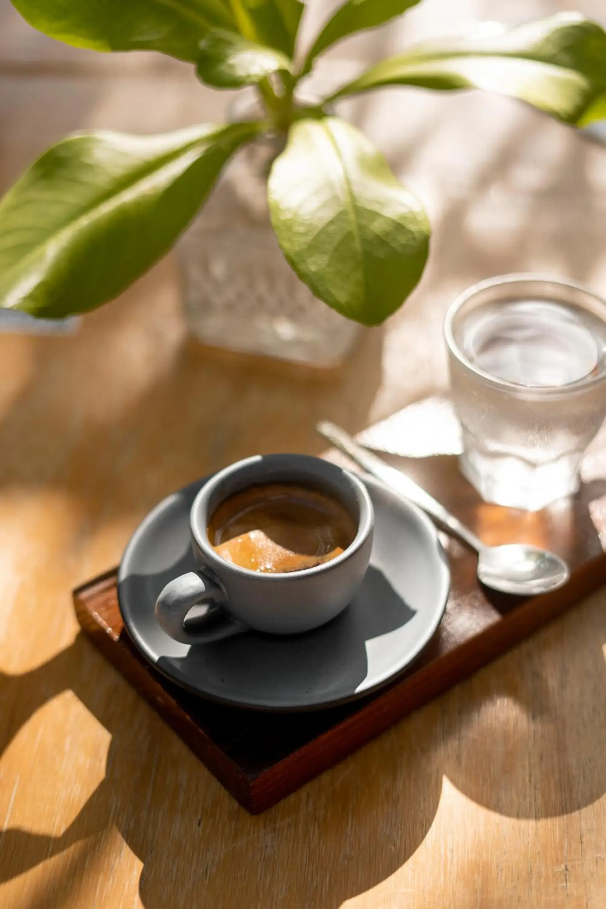 Restaurant/places to eat in La Diosa Kali Beach Front Hotel Restaurant/places to eat in La Diosa Kali Beach Front Hotel