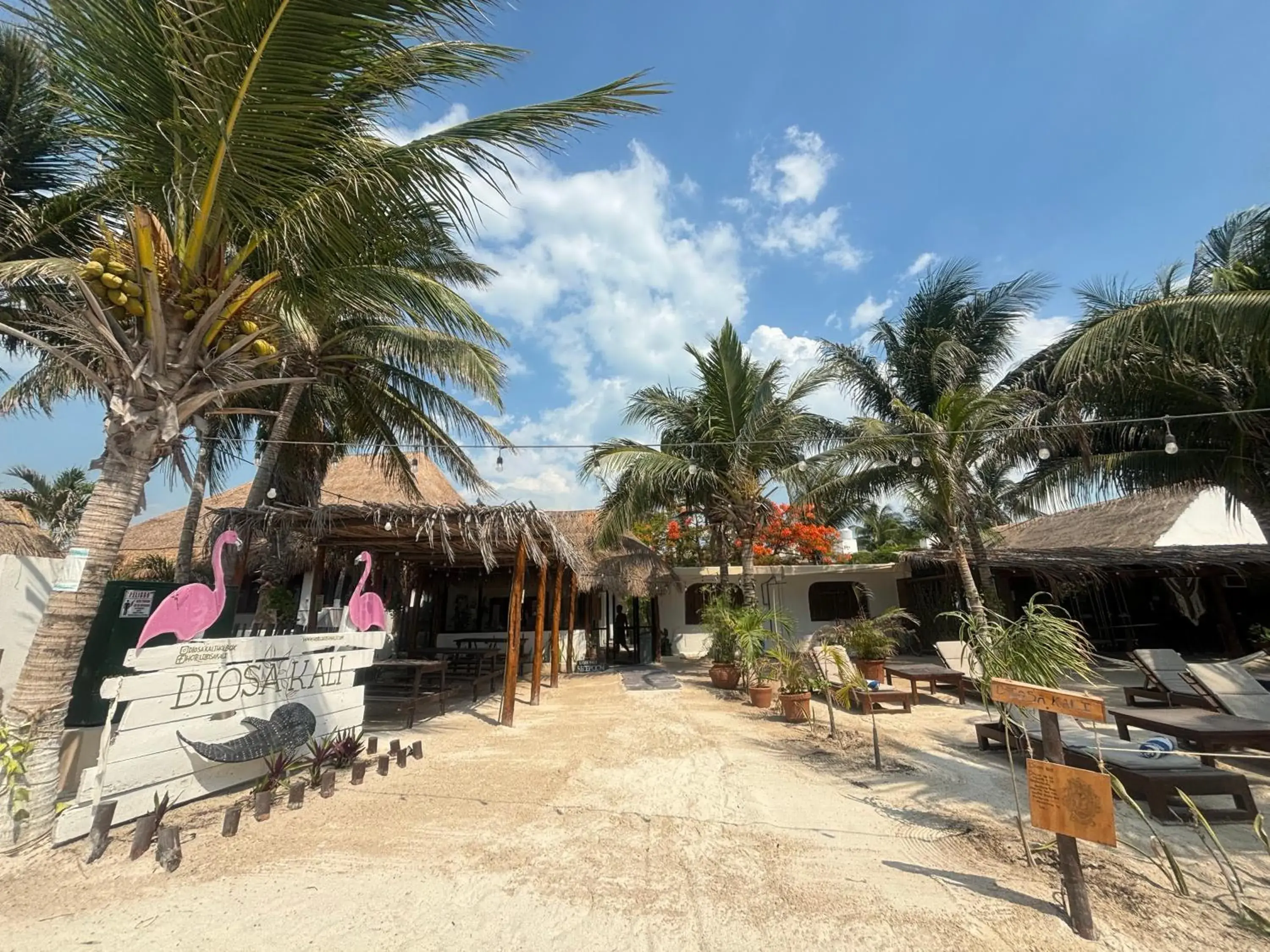 Facade/entrance in La Diosa Kali Beach Front Hotel Facade/entrance in La Diosa Kali Beach Front Hotel