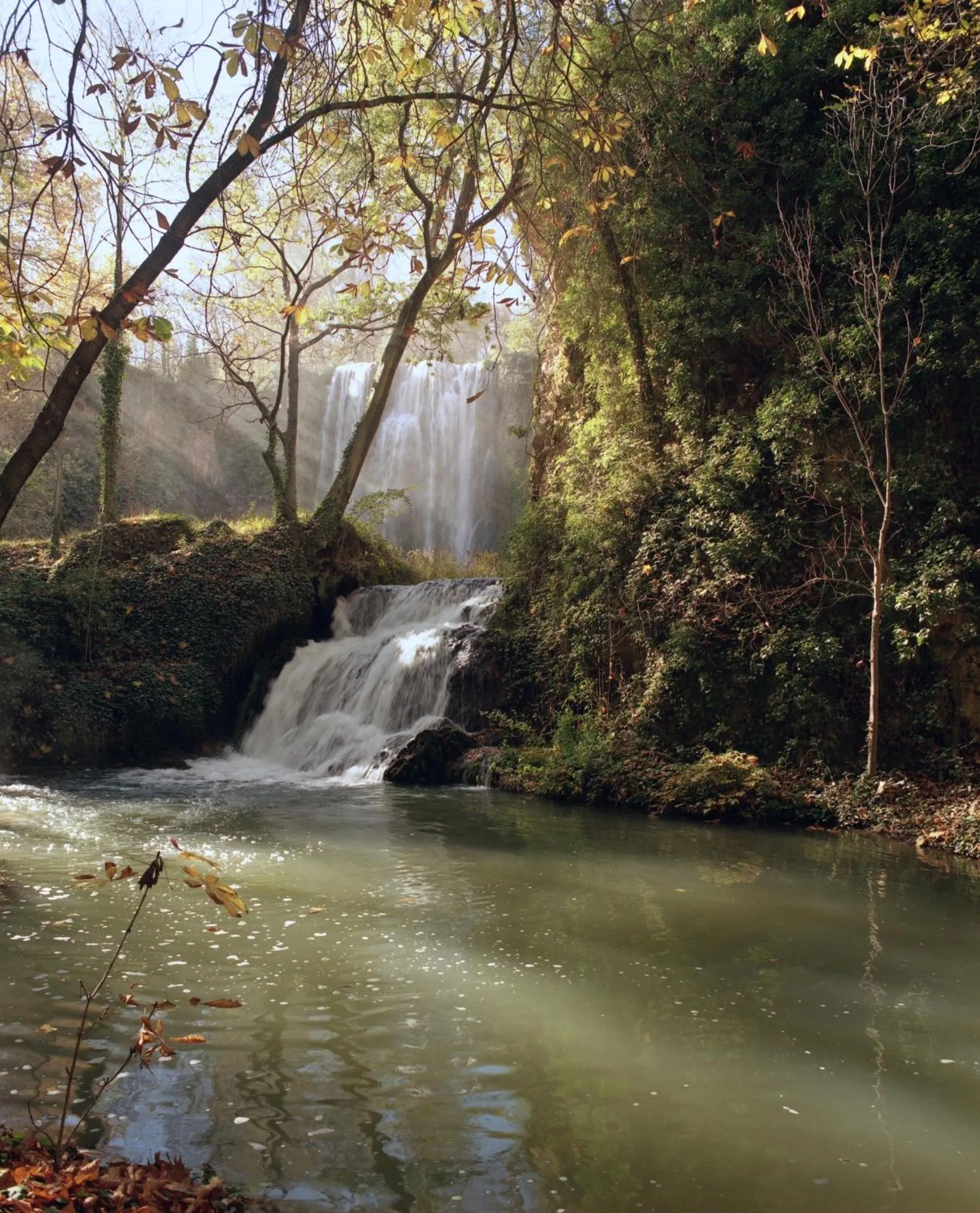 Area and facilities in Monasterio De Piedra