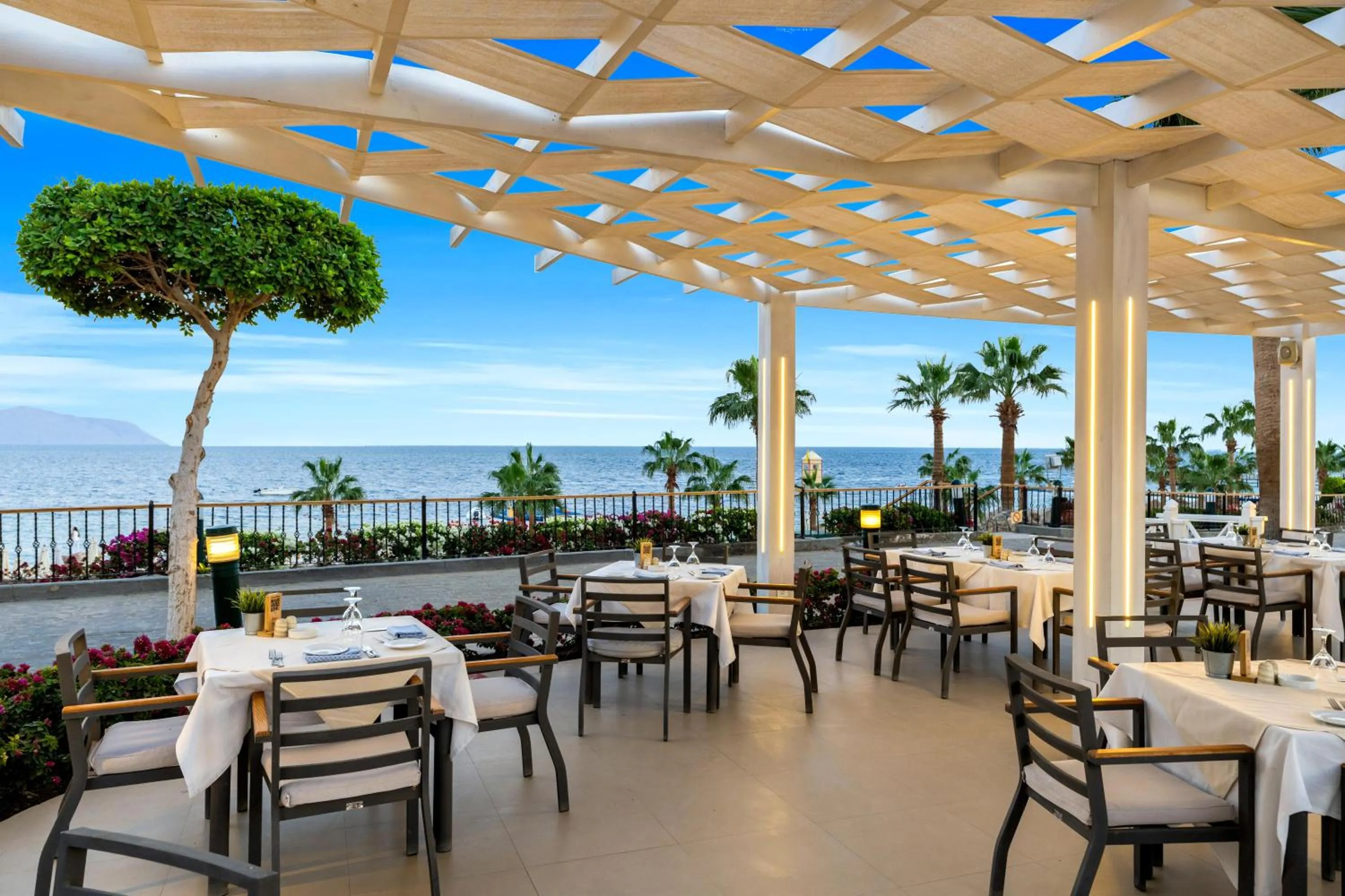 Restaurant/places to eat in Savoy Sharm El Sheikh