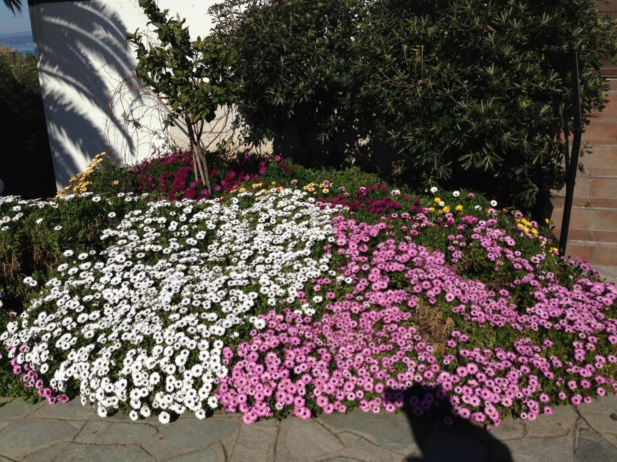Spring in Aristoteles Holiday Hotel And Spa