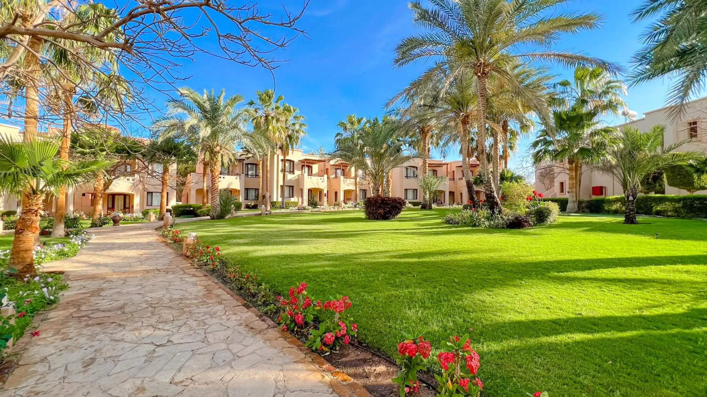 Natural landscape in Tamra Beach Resort