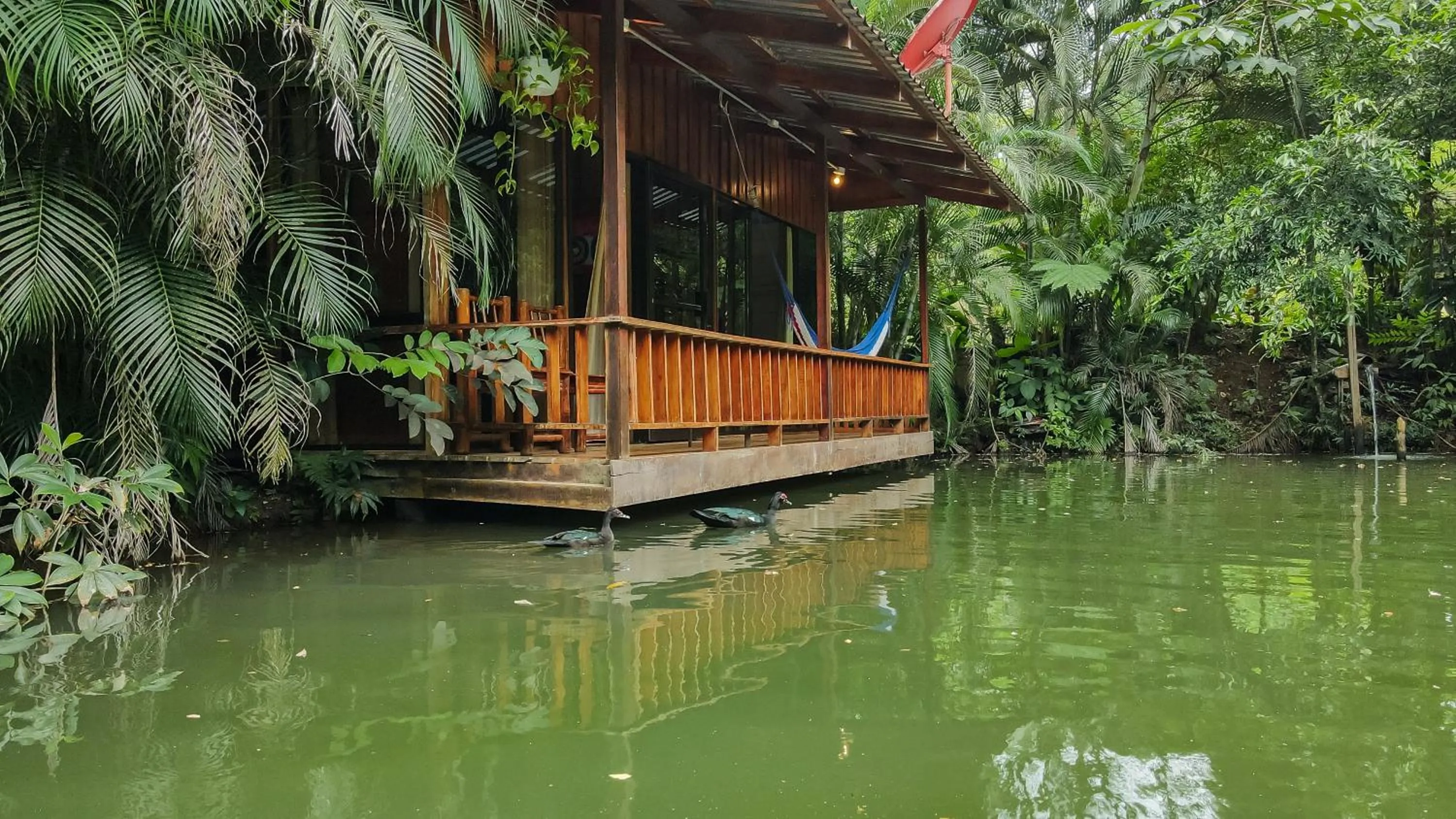 Off site in Cabañas del Lago