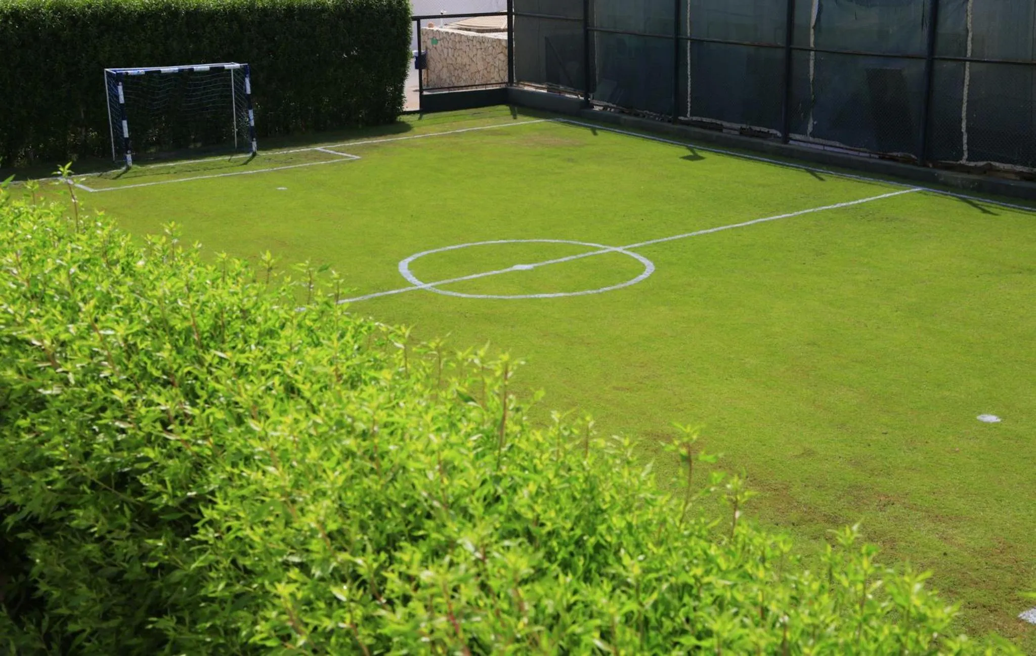 Sports in Sharm Club Beach Resort