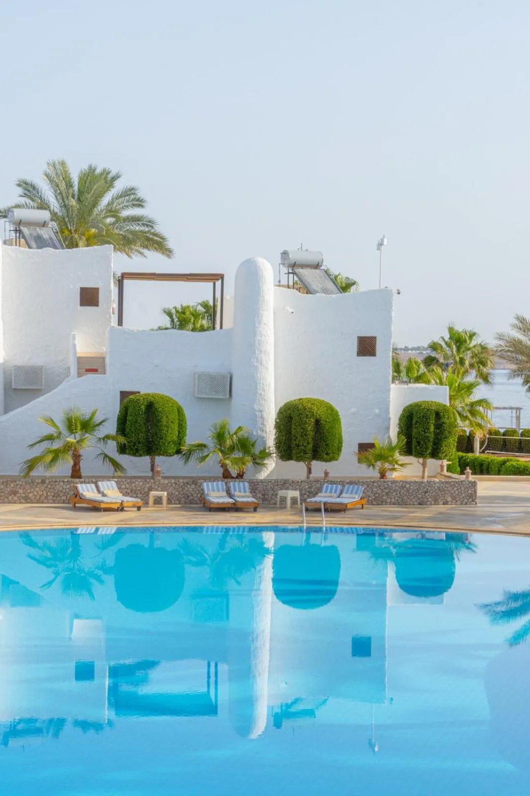 Swimming pool in Sharm Club Beach Resort