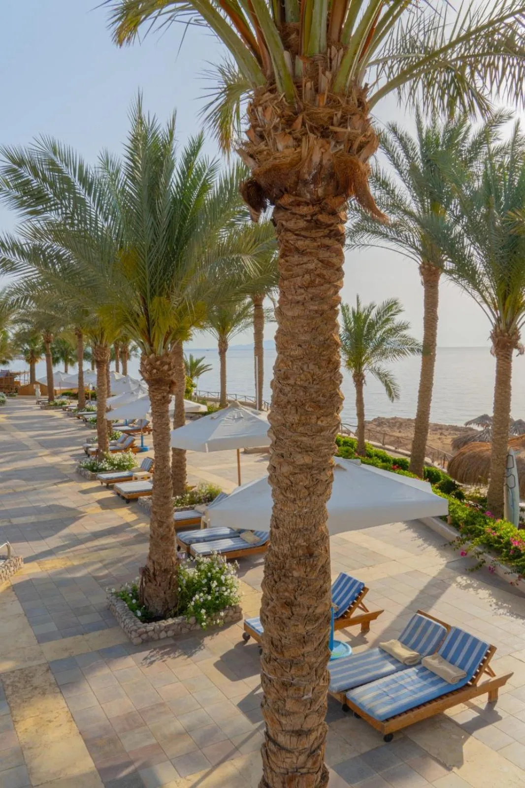 Day in Sharm Club Beach Resort