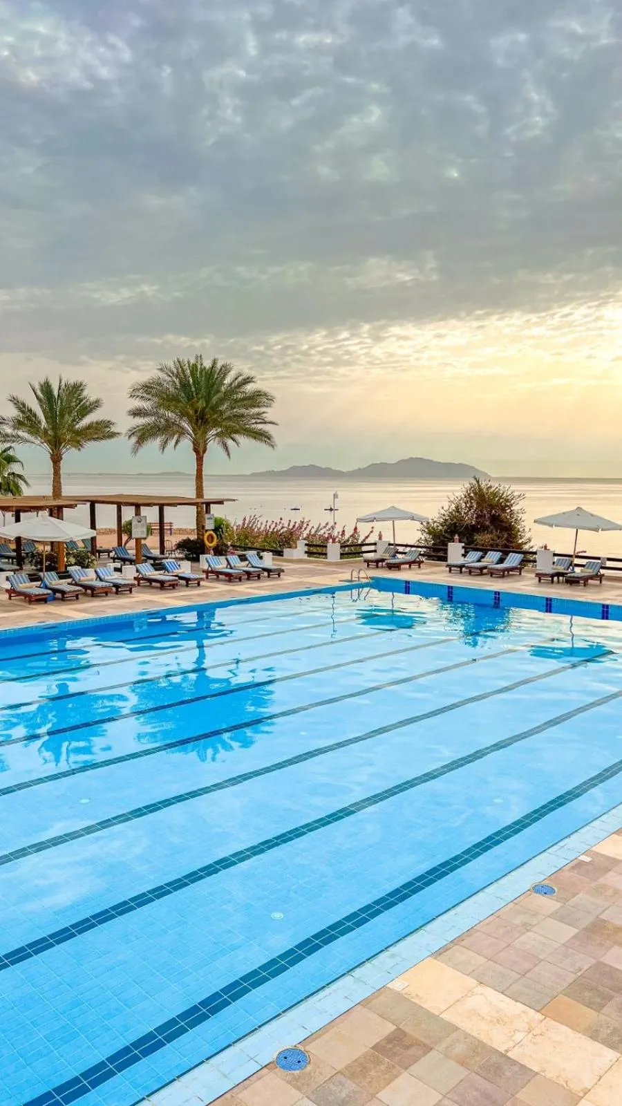 Day in Sharm Club Beach Resort