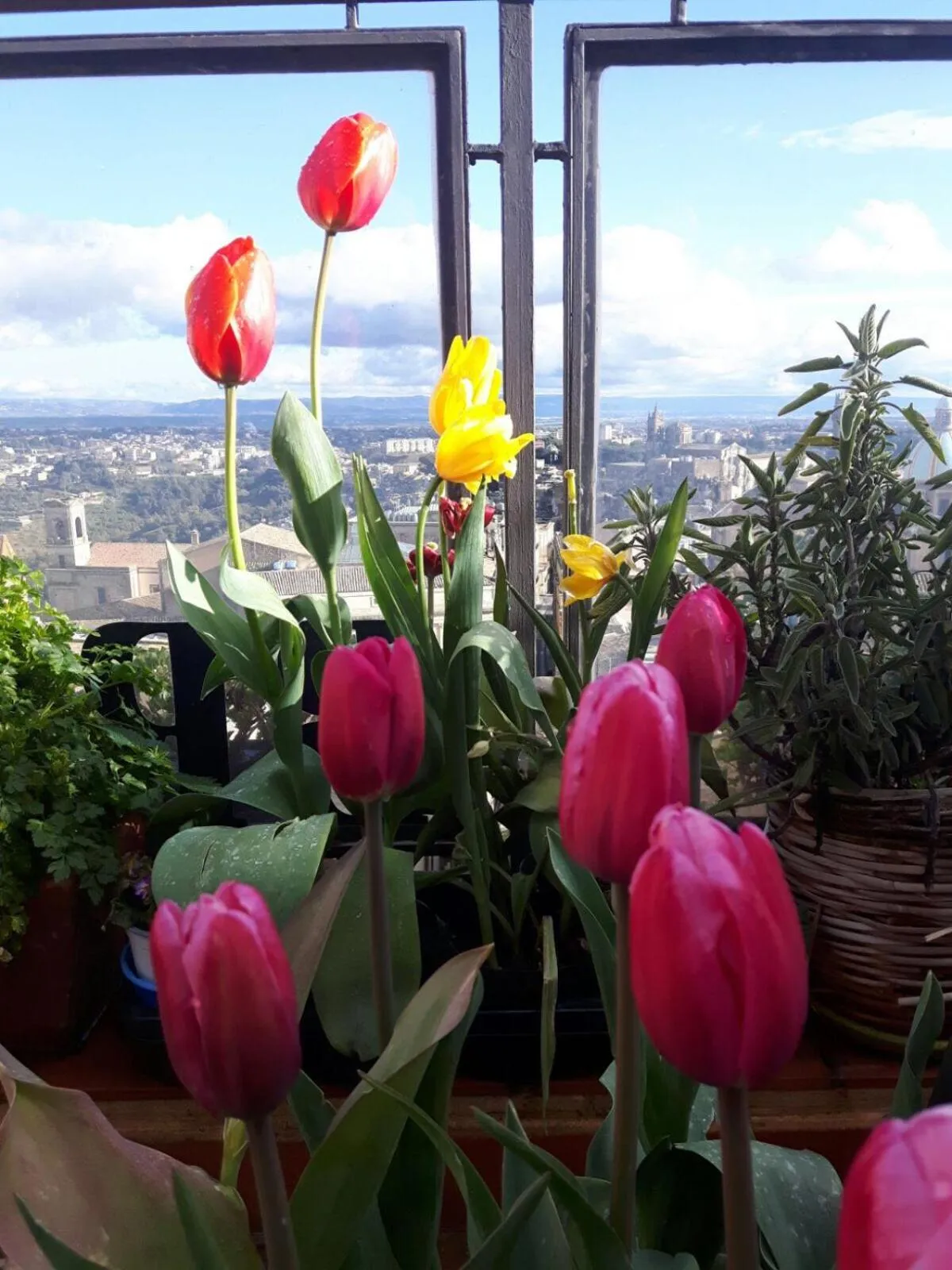 Neighbourhood in Casa tipica siciliana patronale home BedandBreakfast TreMetriSoprailCielo Camere con vista, colazione interna in terrazzo panoramico
