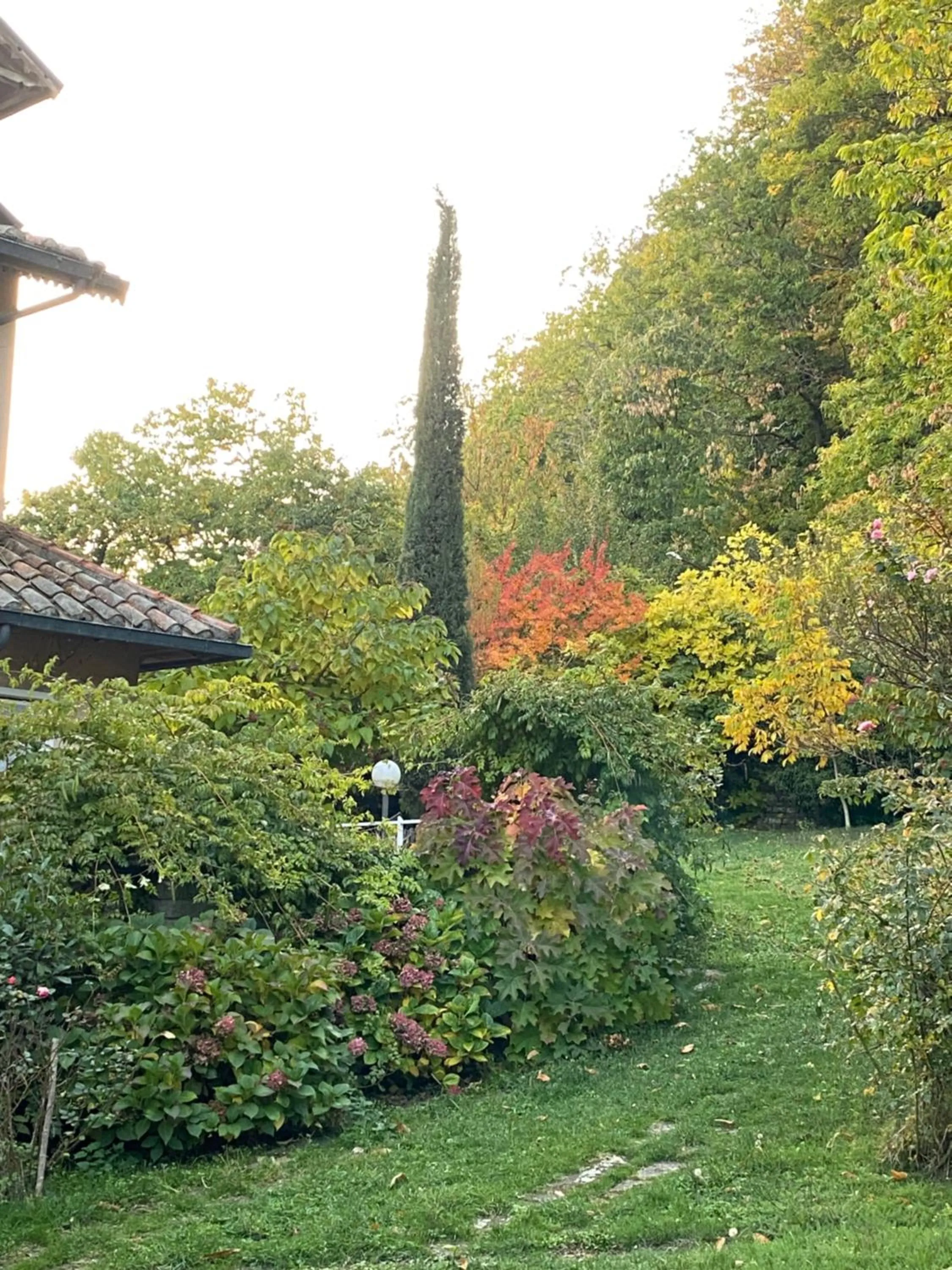 Hotel Parco Erosa