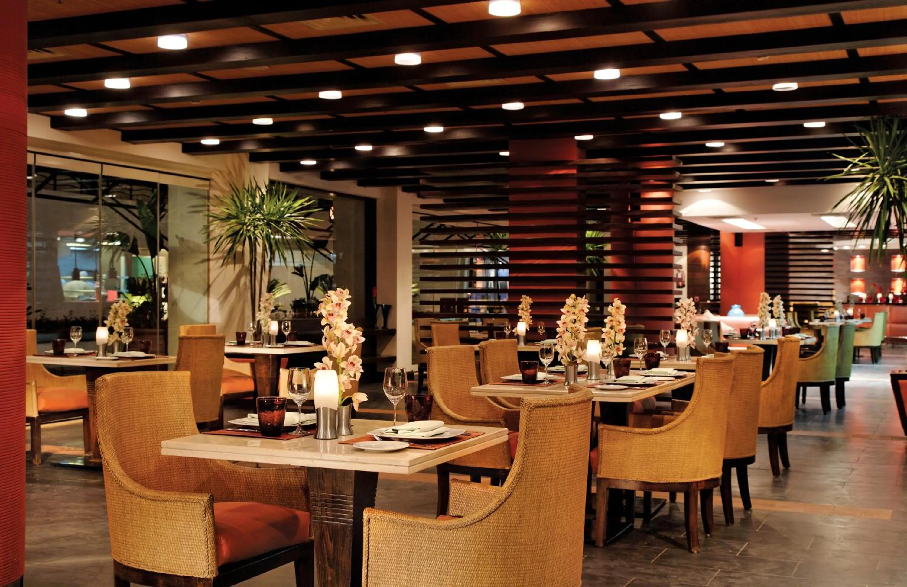 Restaurant/places to eat in Grand Rotana Resort & Spa