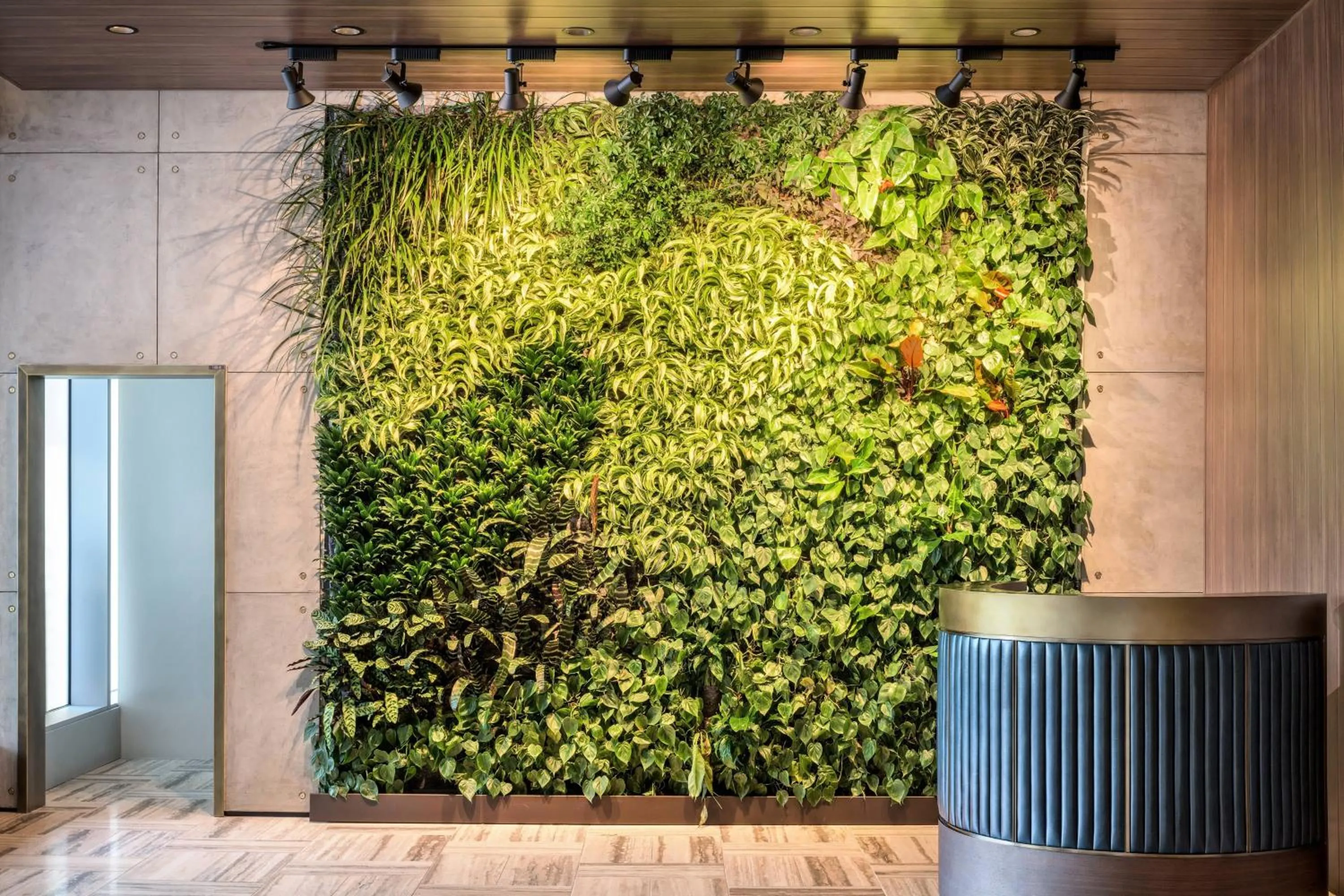 Other in the DOUGLAS, Autograph Collection