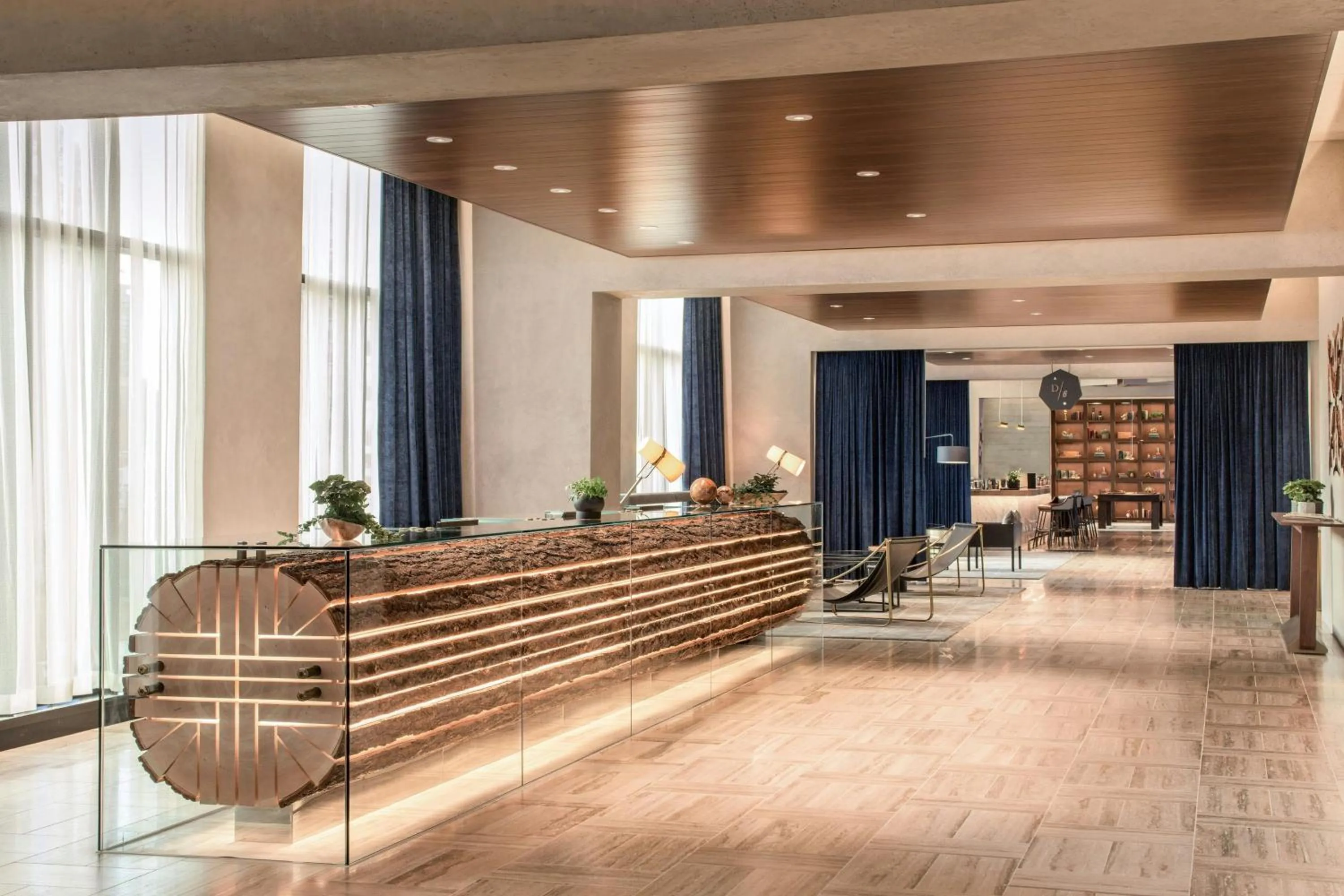 Lobby or reception in the DOUGLAS, Autograph Collection