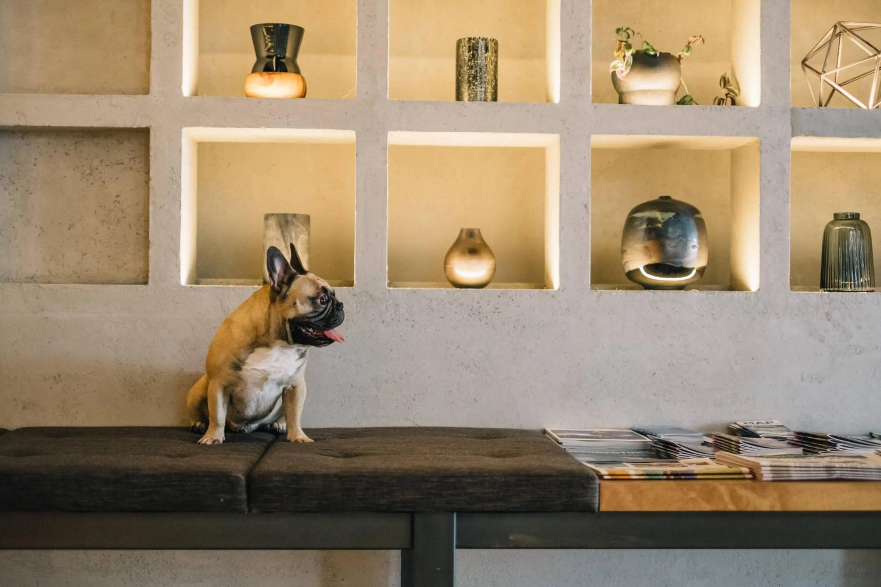 Other in the DOUGLAS, Autograph Collection