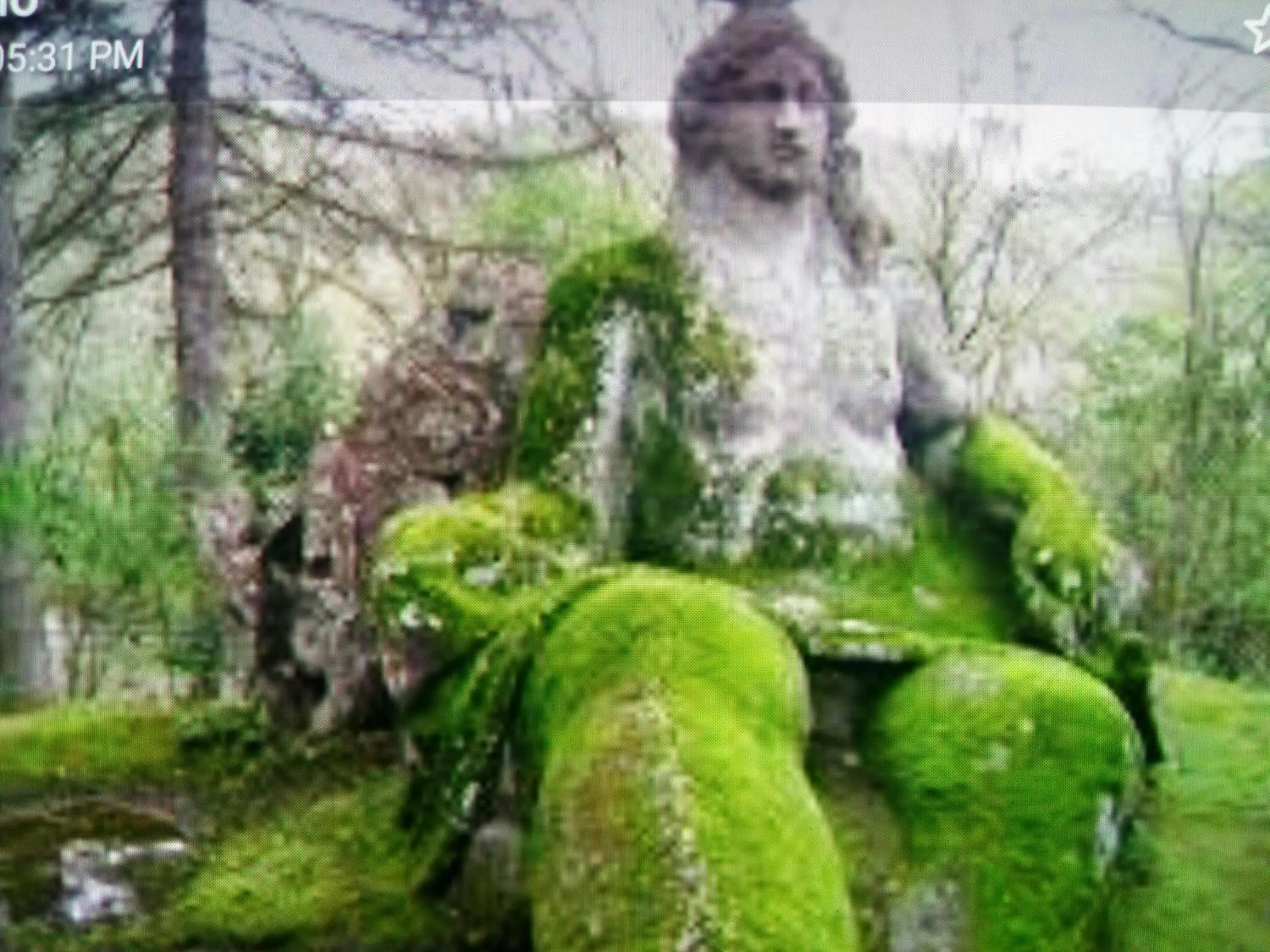 Nearby landmark in B&B Villa Roberta