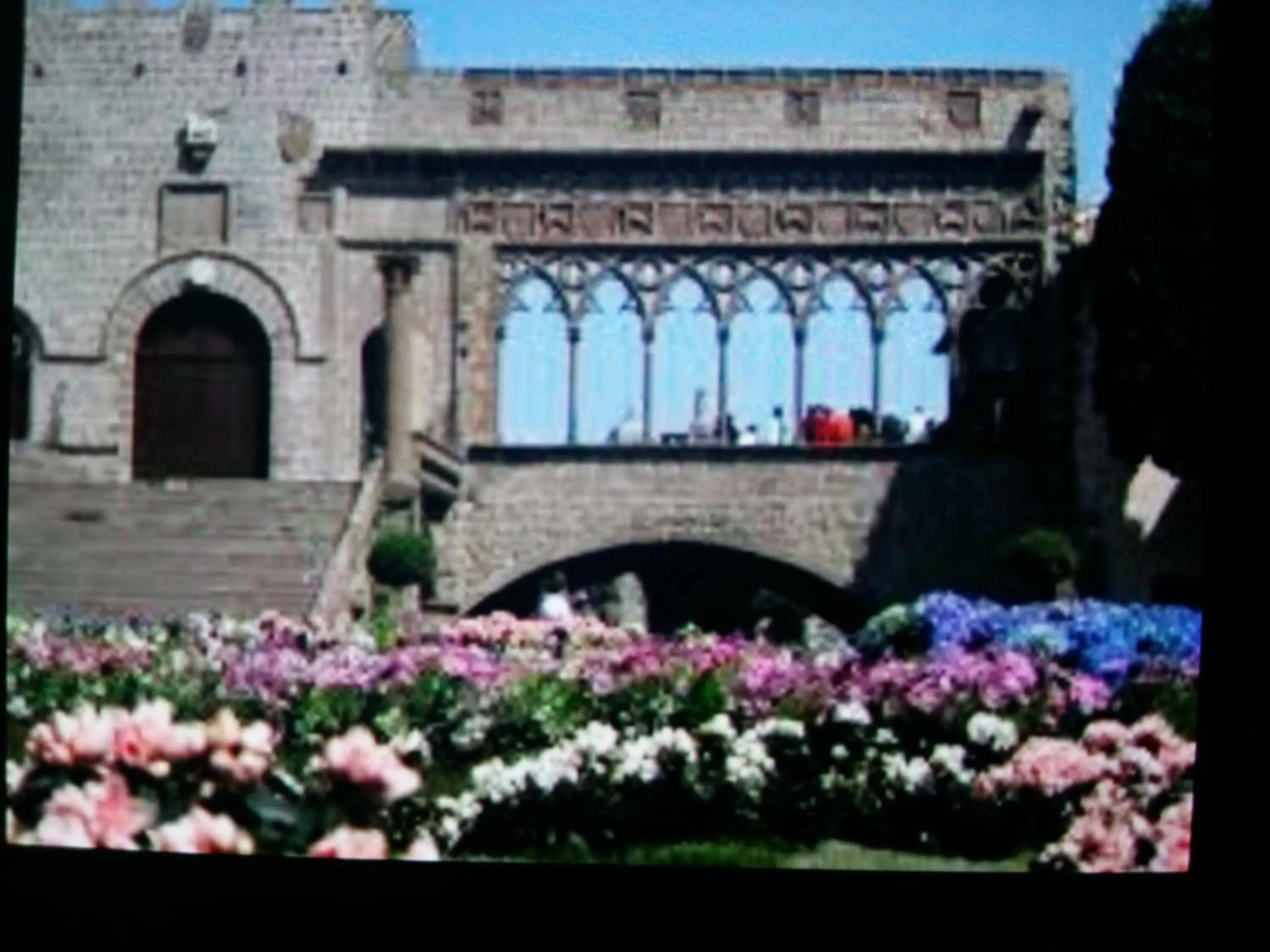 Restaurant/places to eat in B&B Villa Roberta