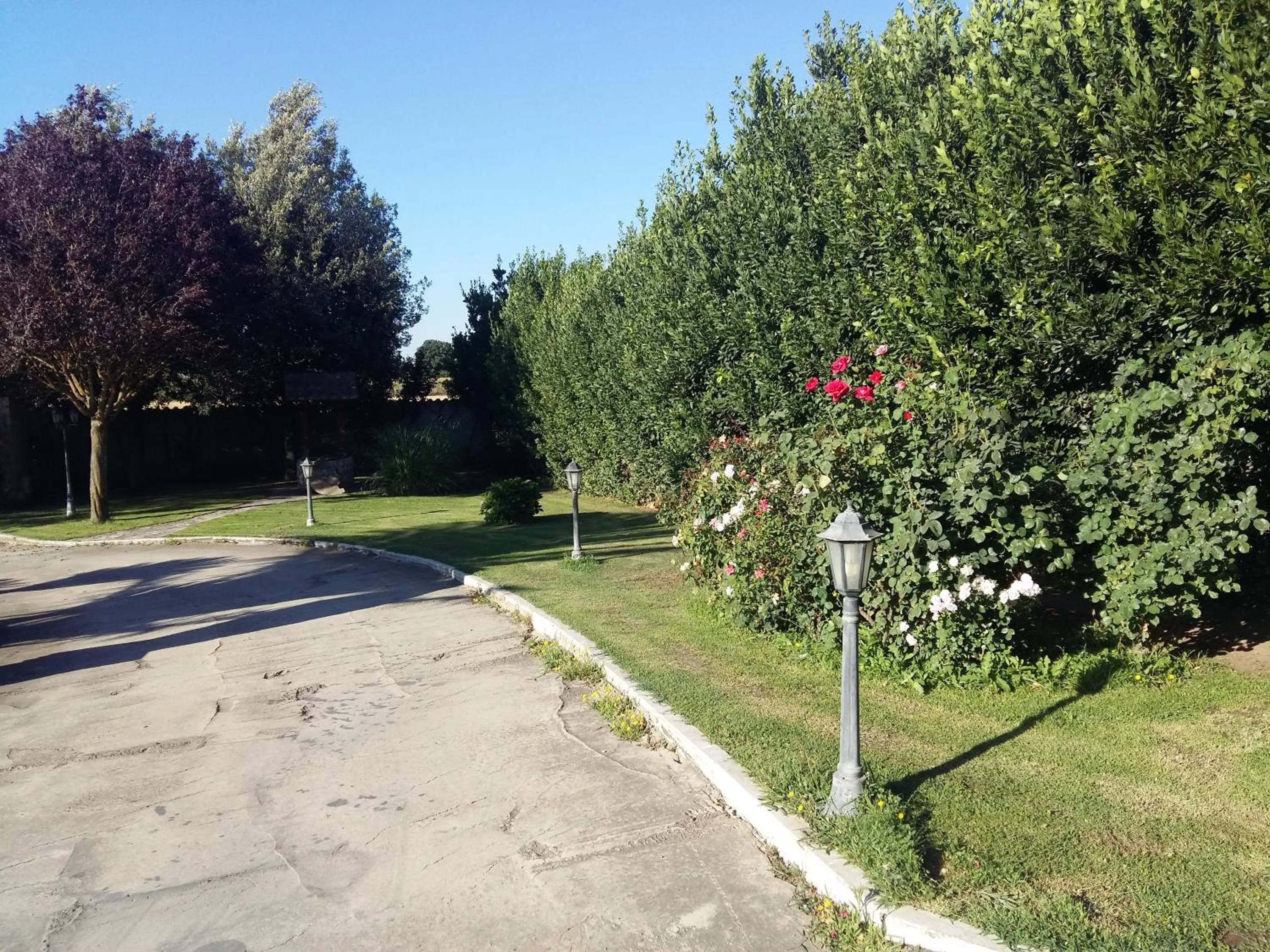 Garden in B&B Villa Roberta