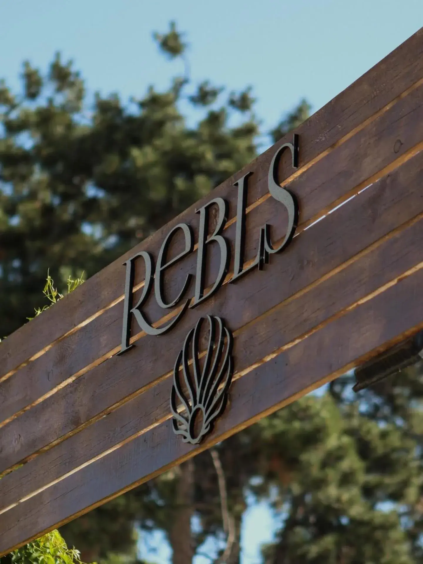 Swimming pool in Argisht Partez Hotel ALL INCLUSIVE & BEACH BAR REBLS Swimming pool in Argisht Partez Hotel ALL INCLUSIVE & BEACH BAR REBLS